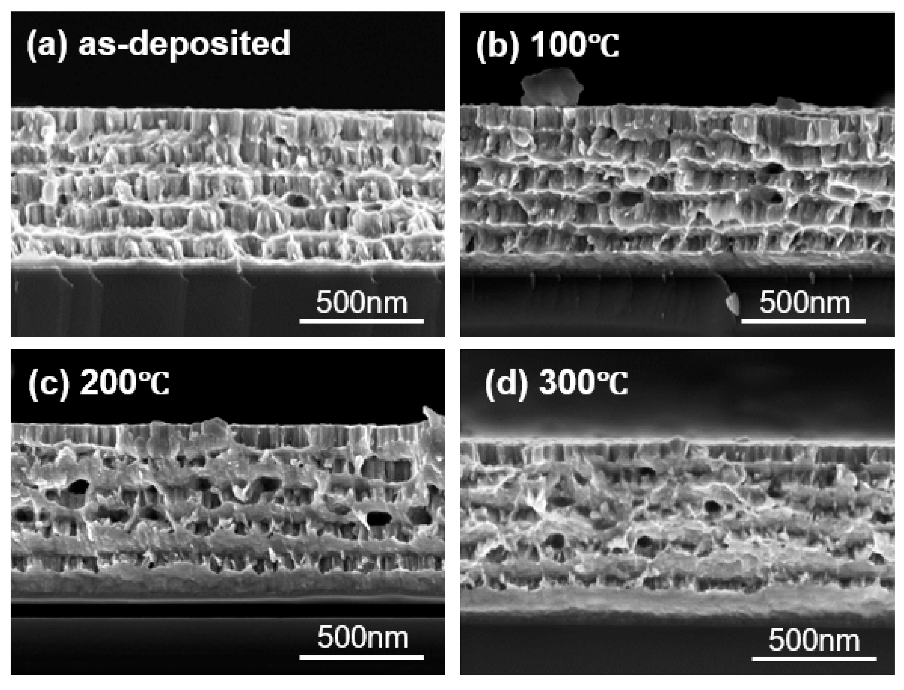 Preprints 95119 g006