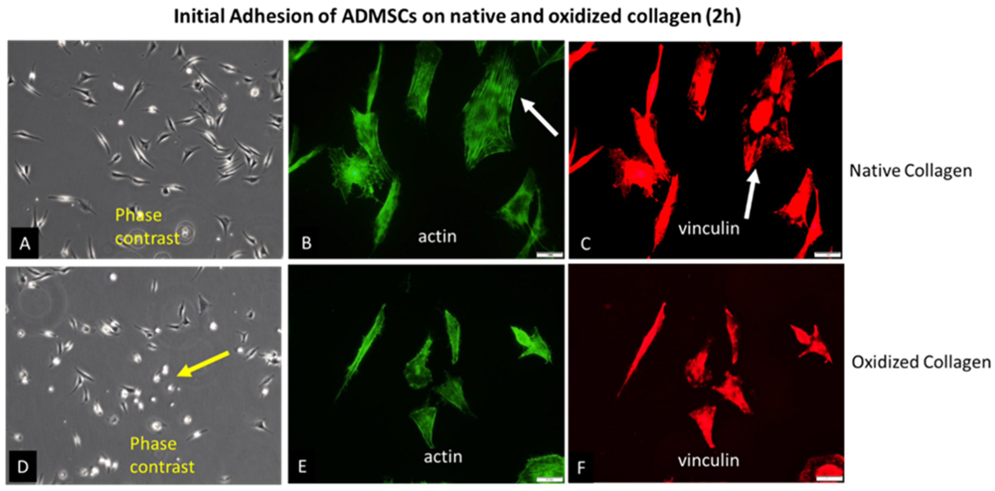 Preprints 67199 g001