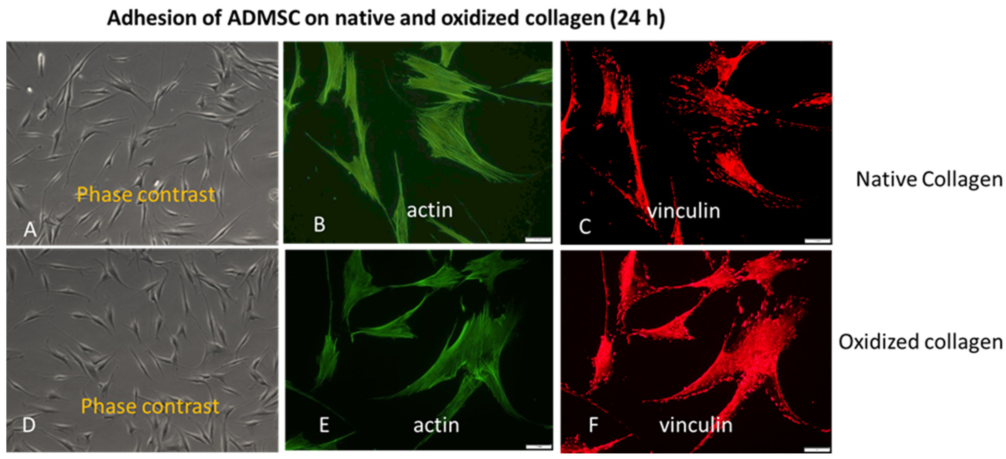 Preprints 67199 g002