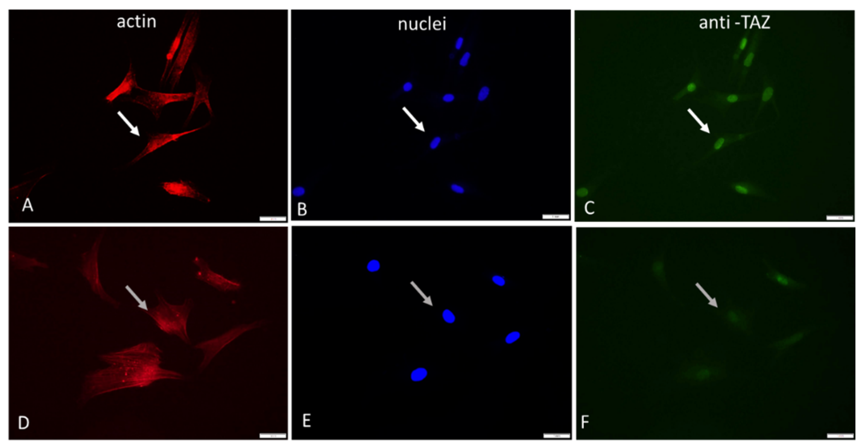 Preprints 67199 g003