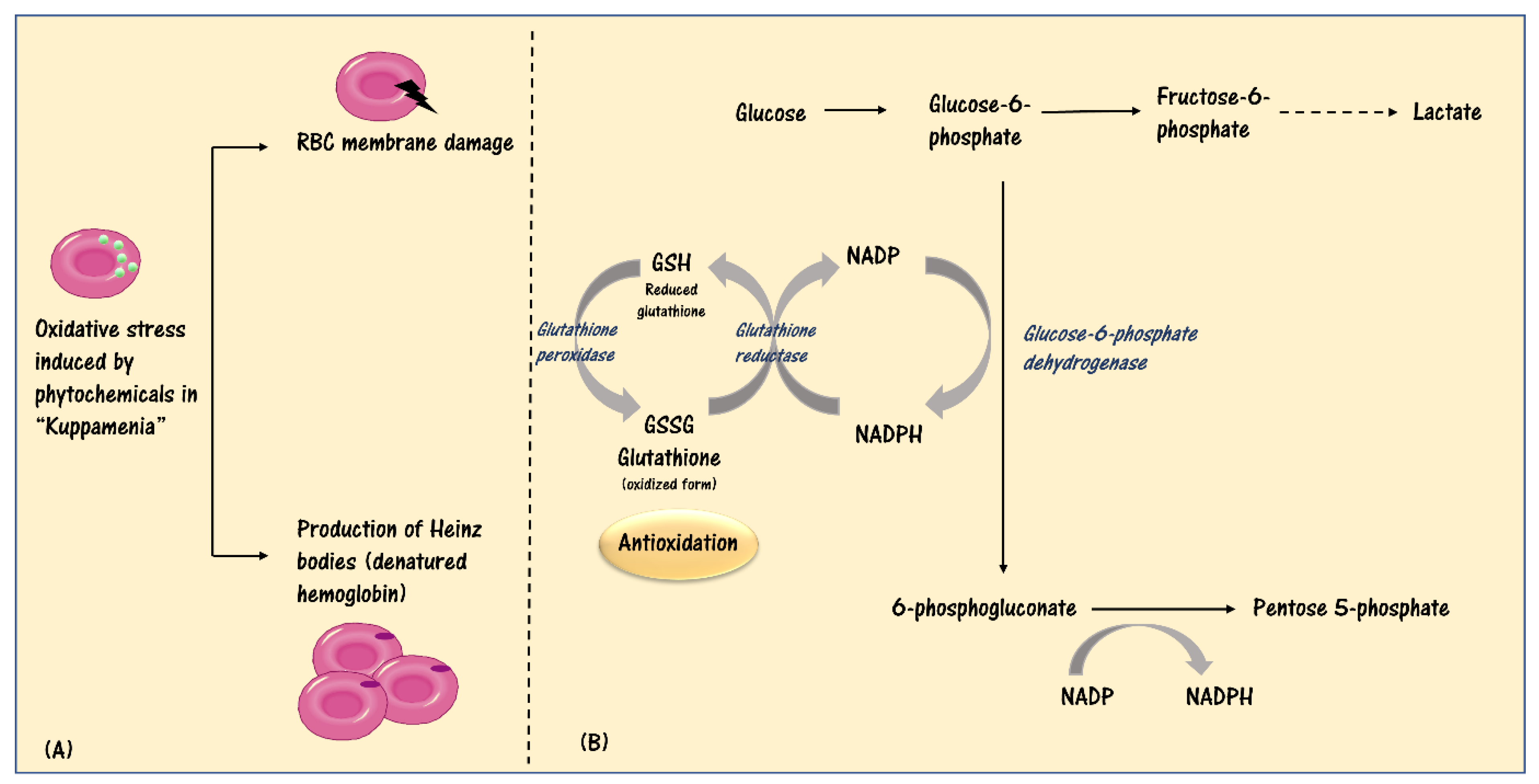 Preprints 96340 g003