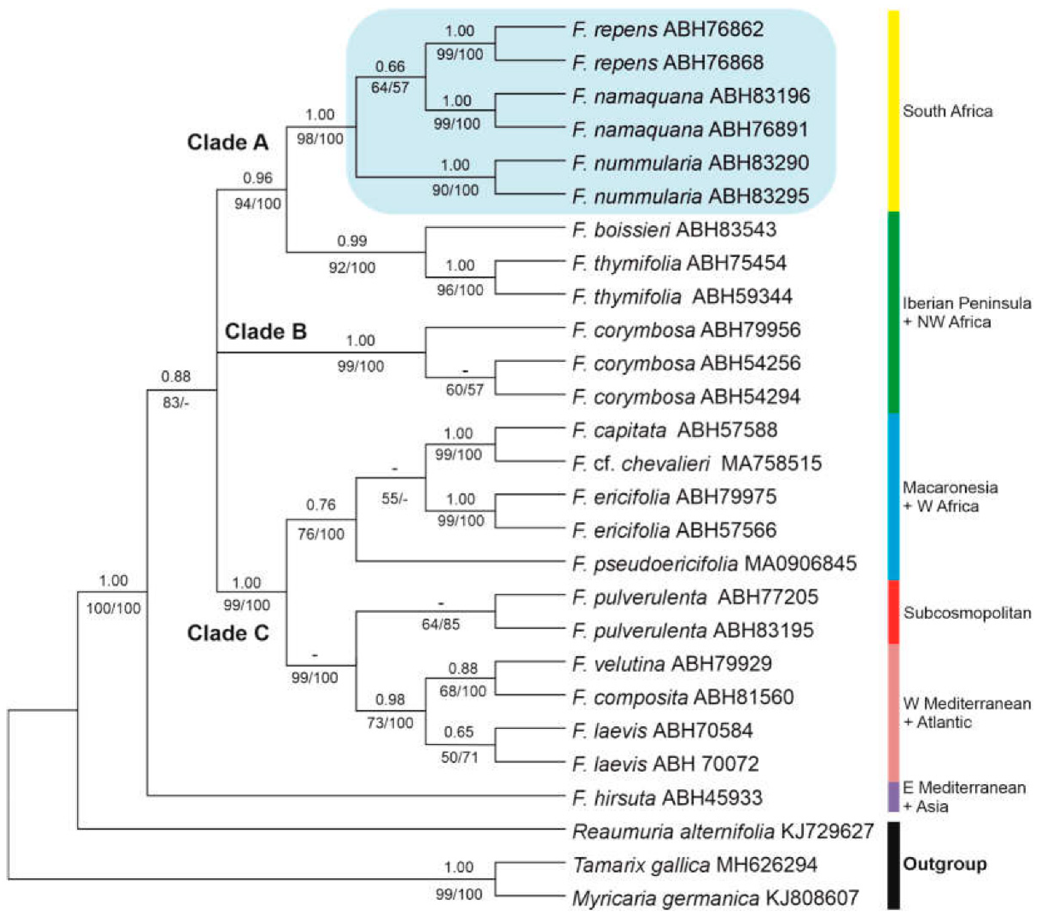 Preprints 74449 g002