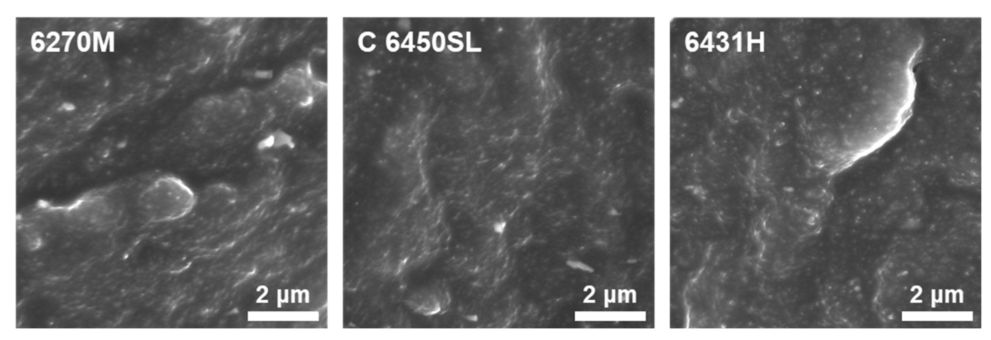 Preprints 86941 g002