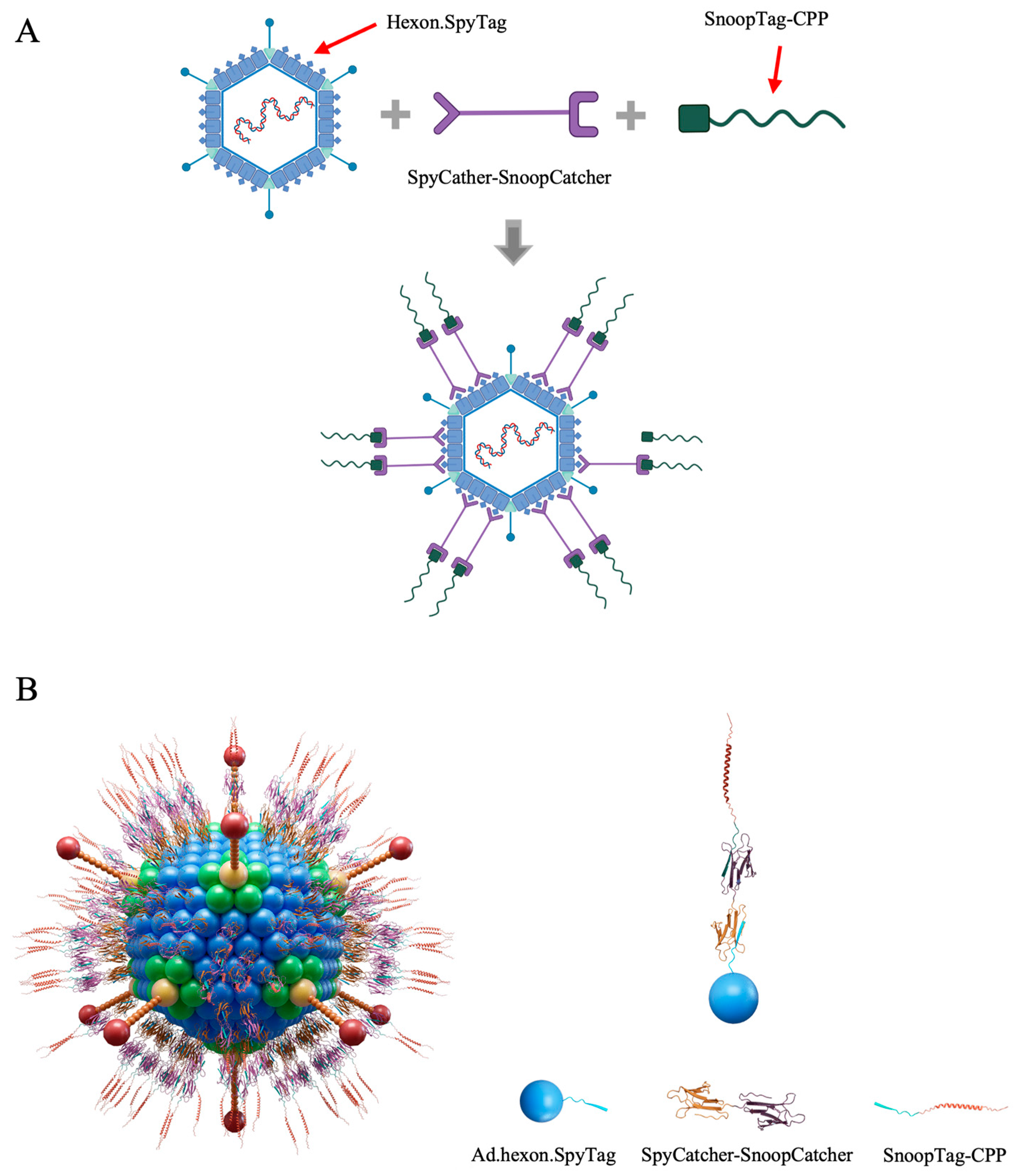 Preprints 88687 g001