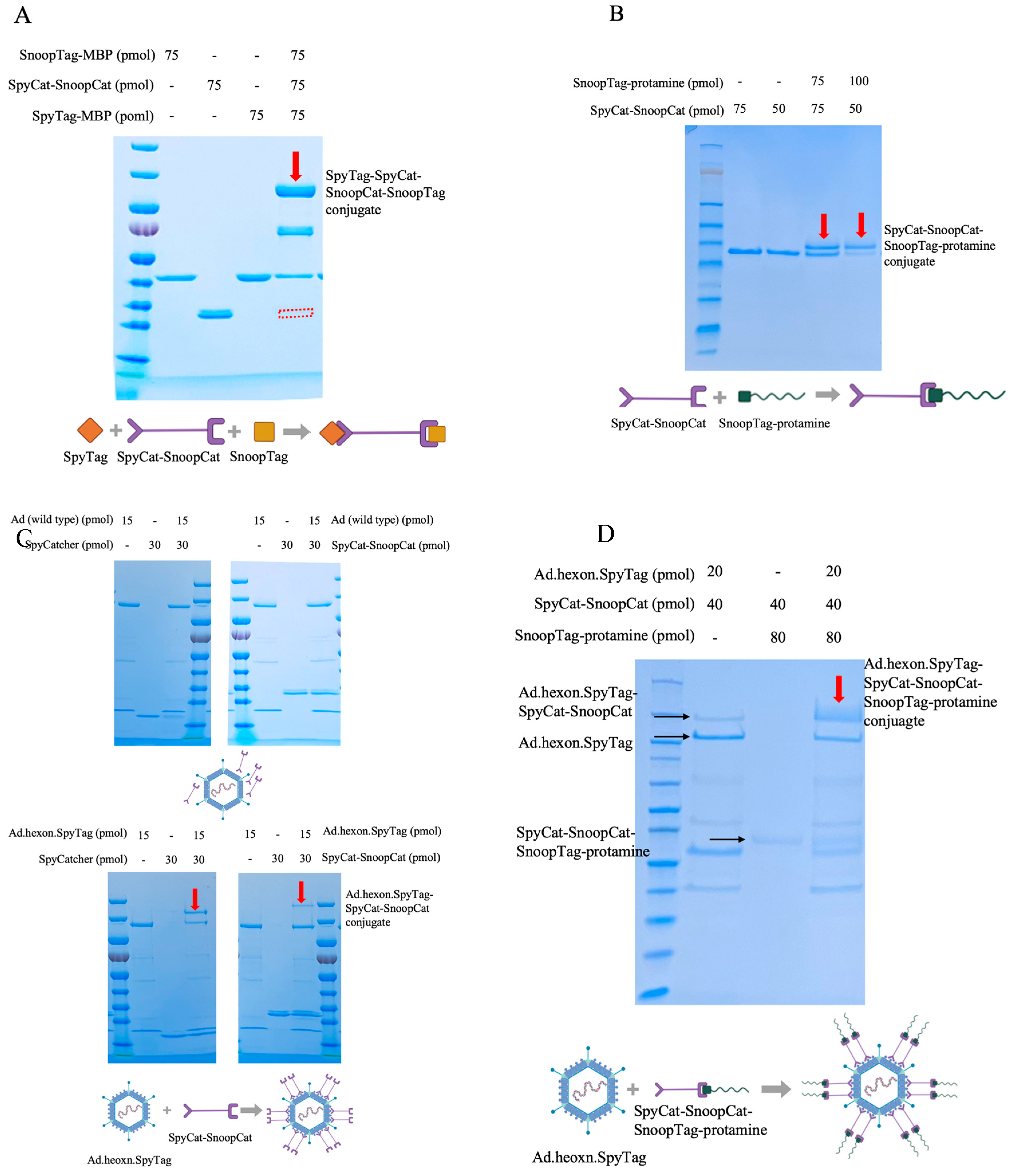 Preprints 88687 g002