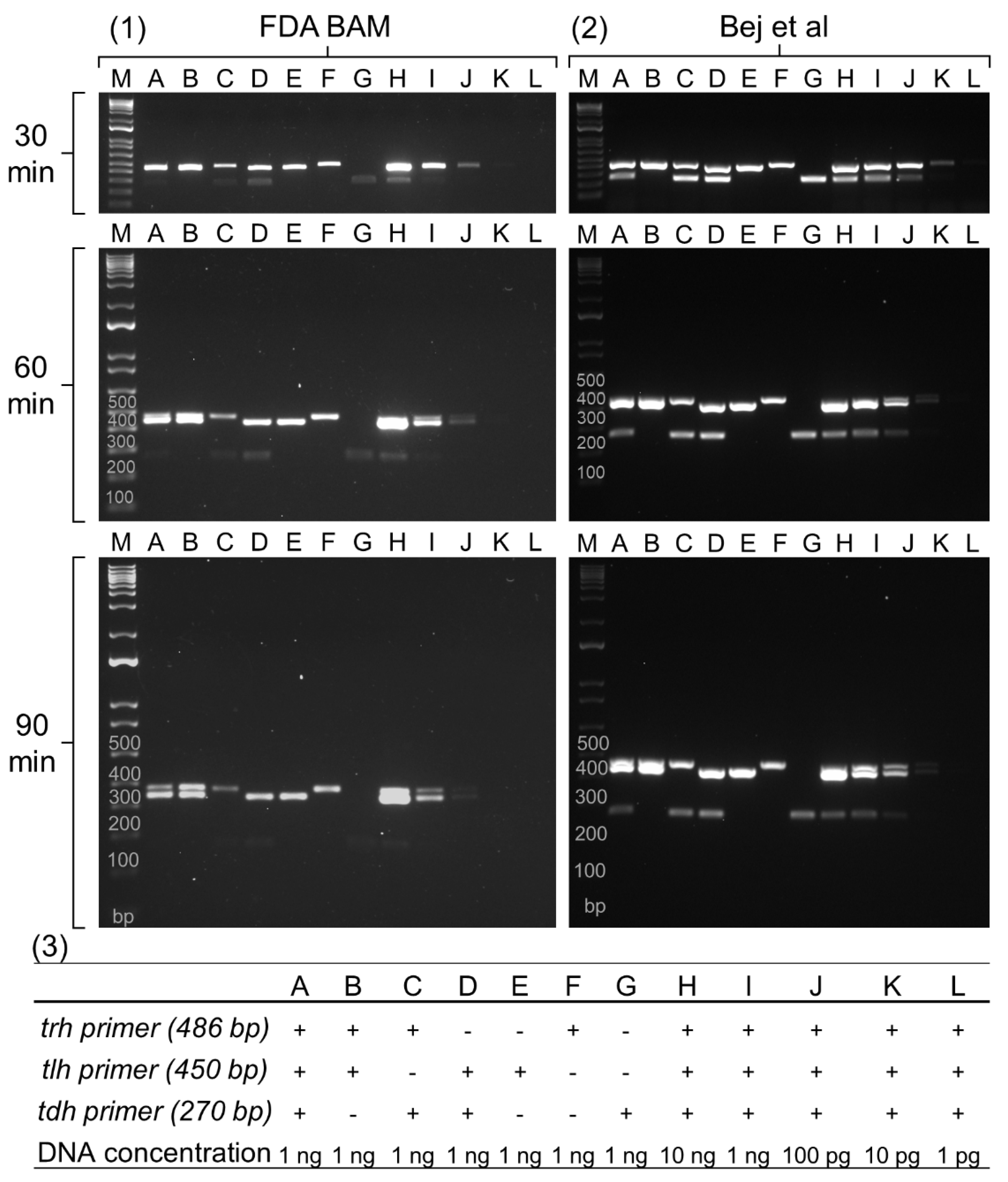 Preprints 111702 g001