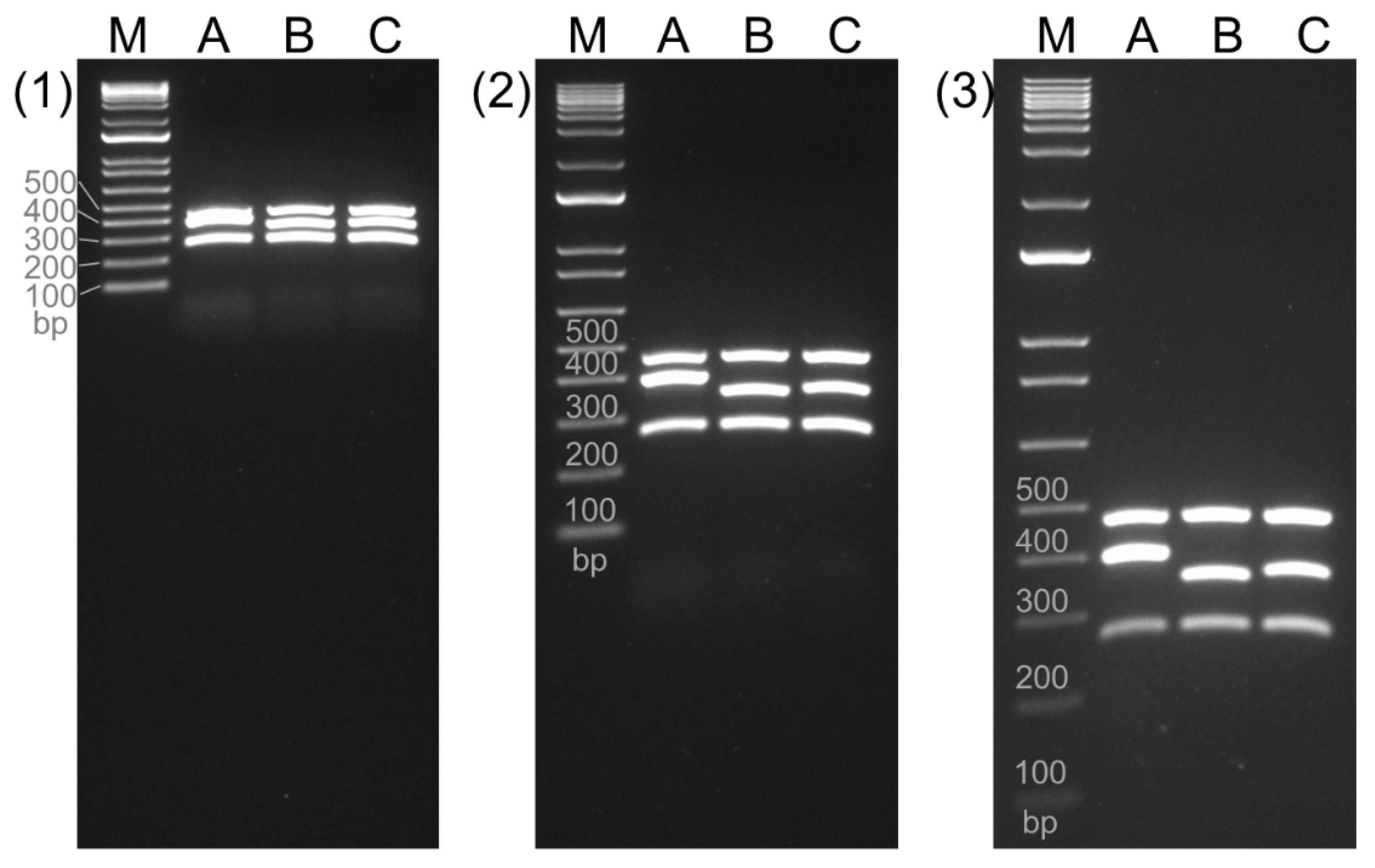 Preprints 111702 g002