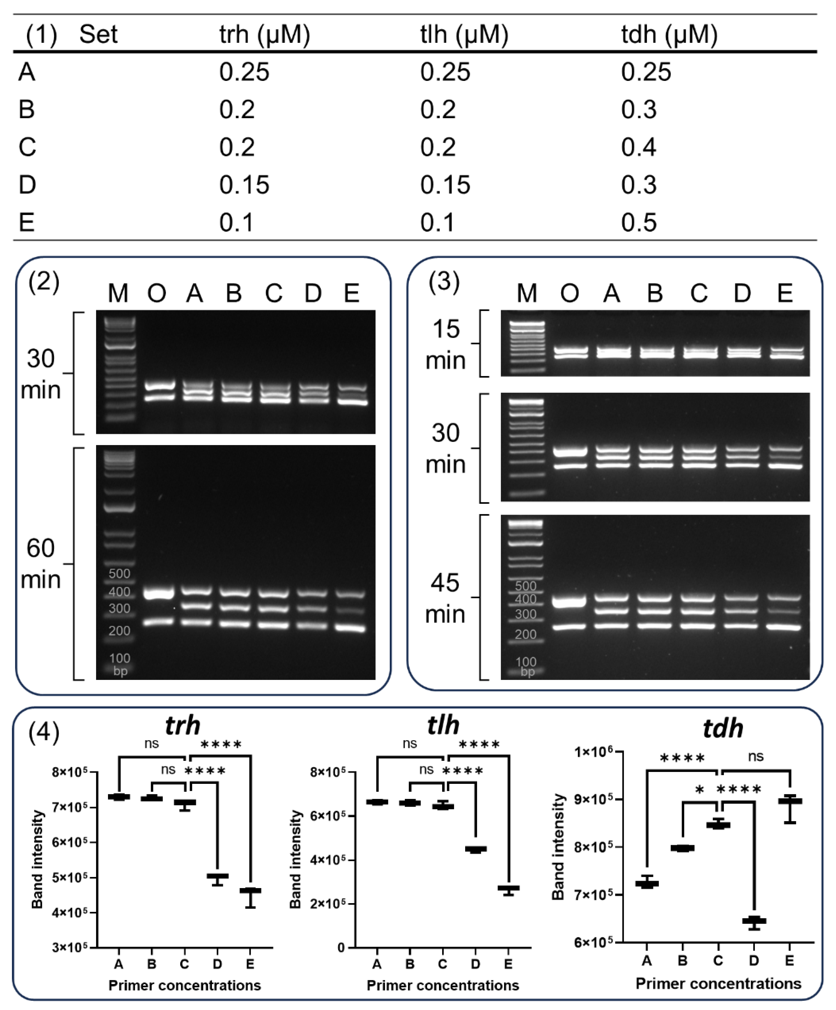 Preprints 111702 g003