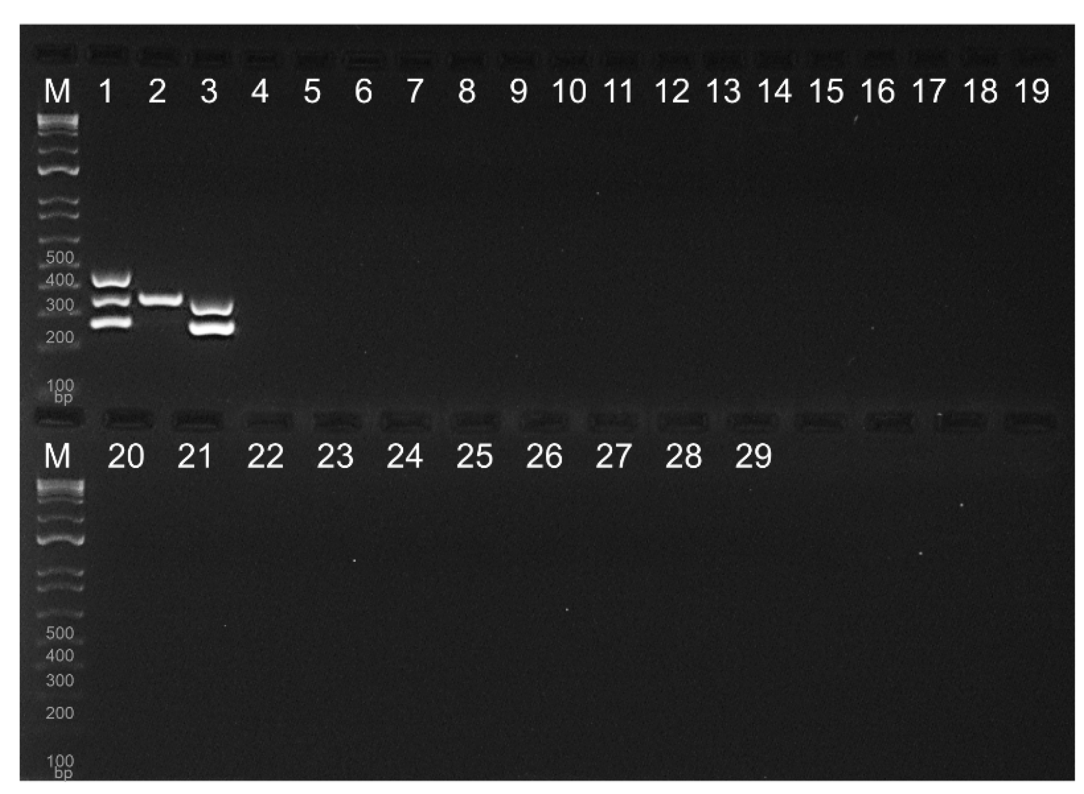 Preprints 111702 g005