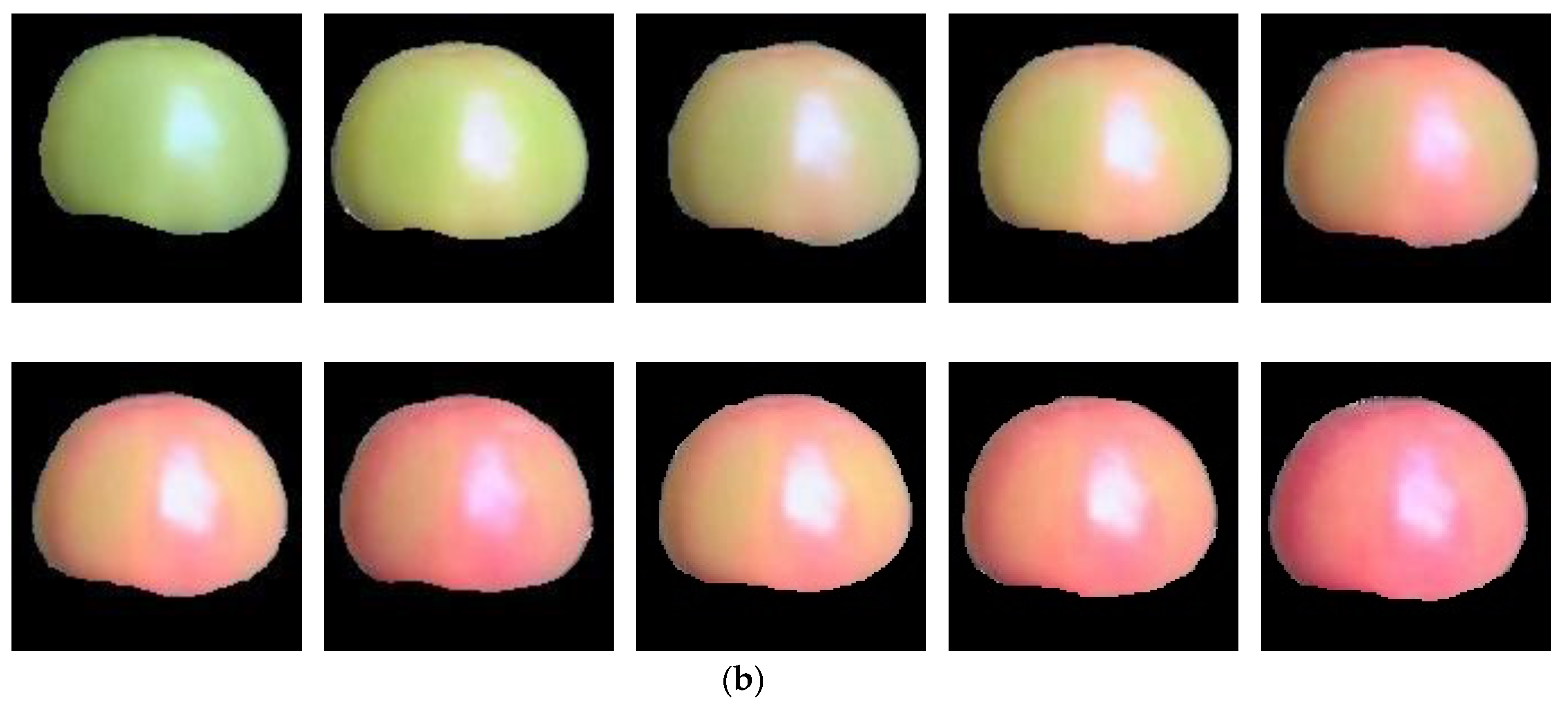 Preprints 110654 g004b