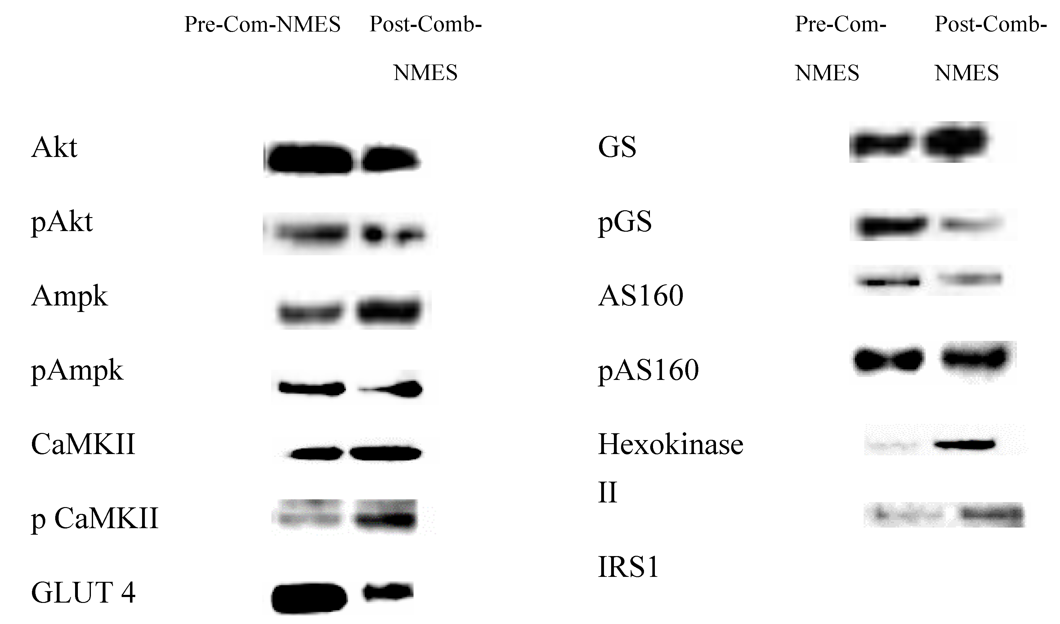 Preprints 109558 g002