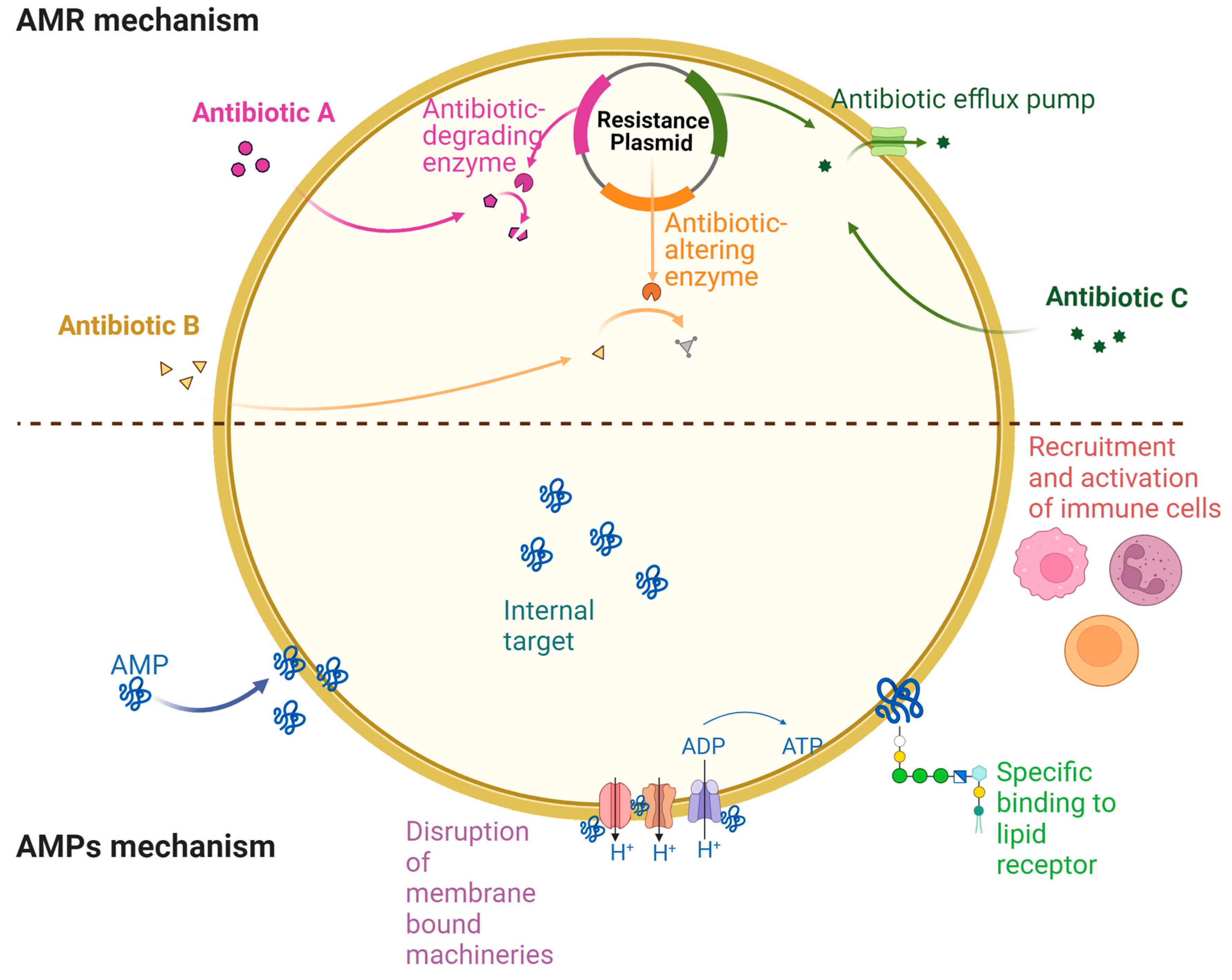 Preprints 119938 g001