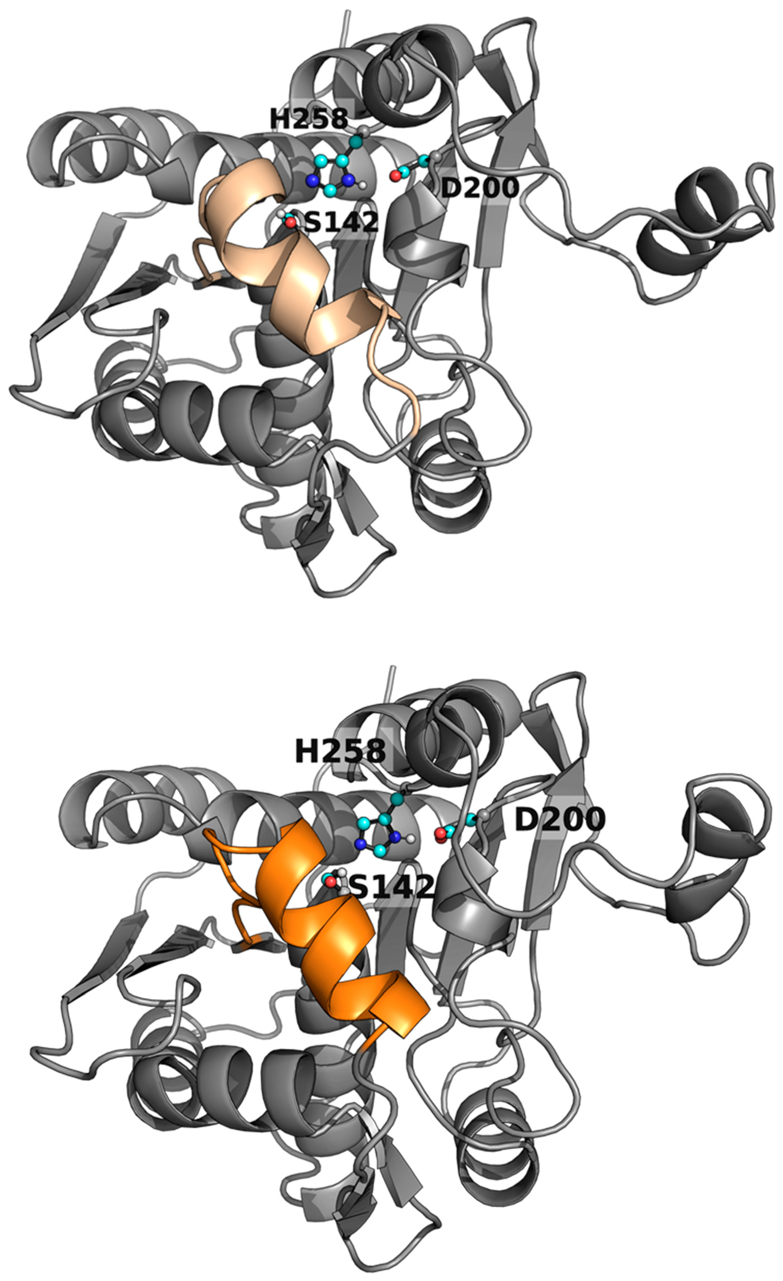 Preprints 81604 g003