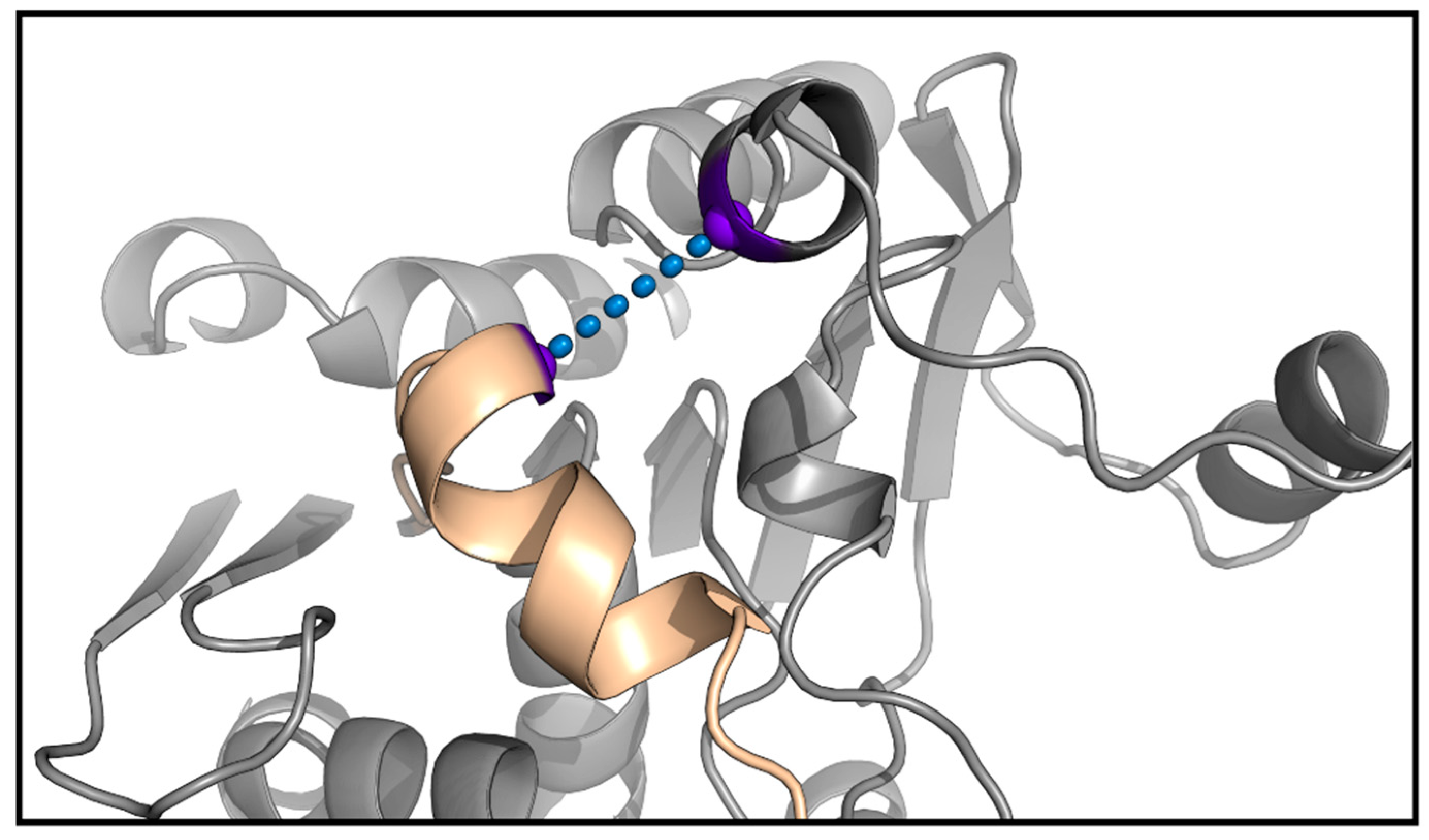 Preprints 81604 g005a