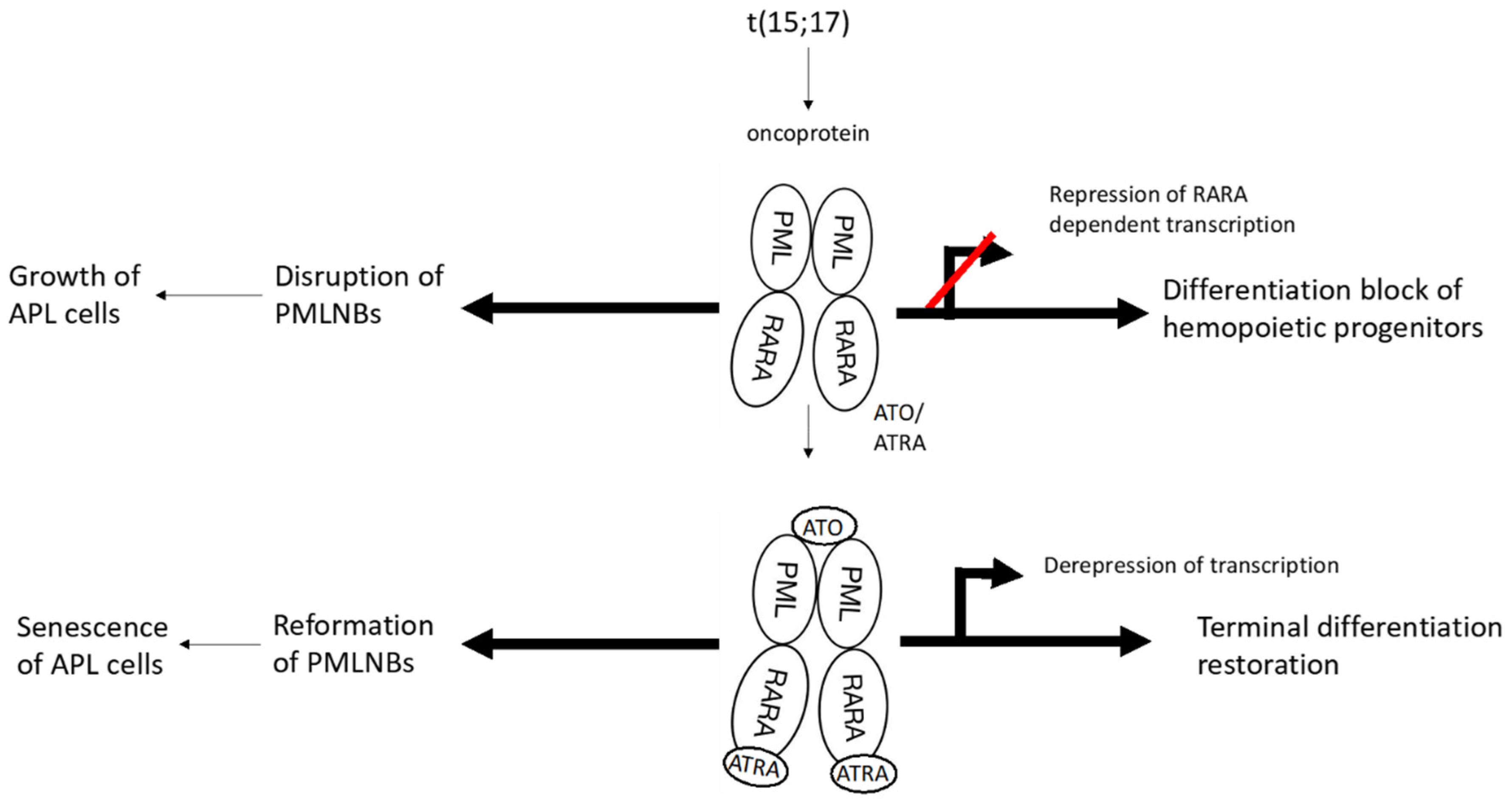 Preprints 114931 g001