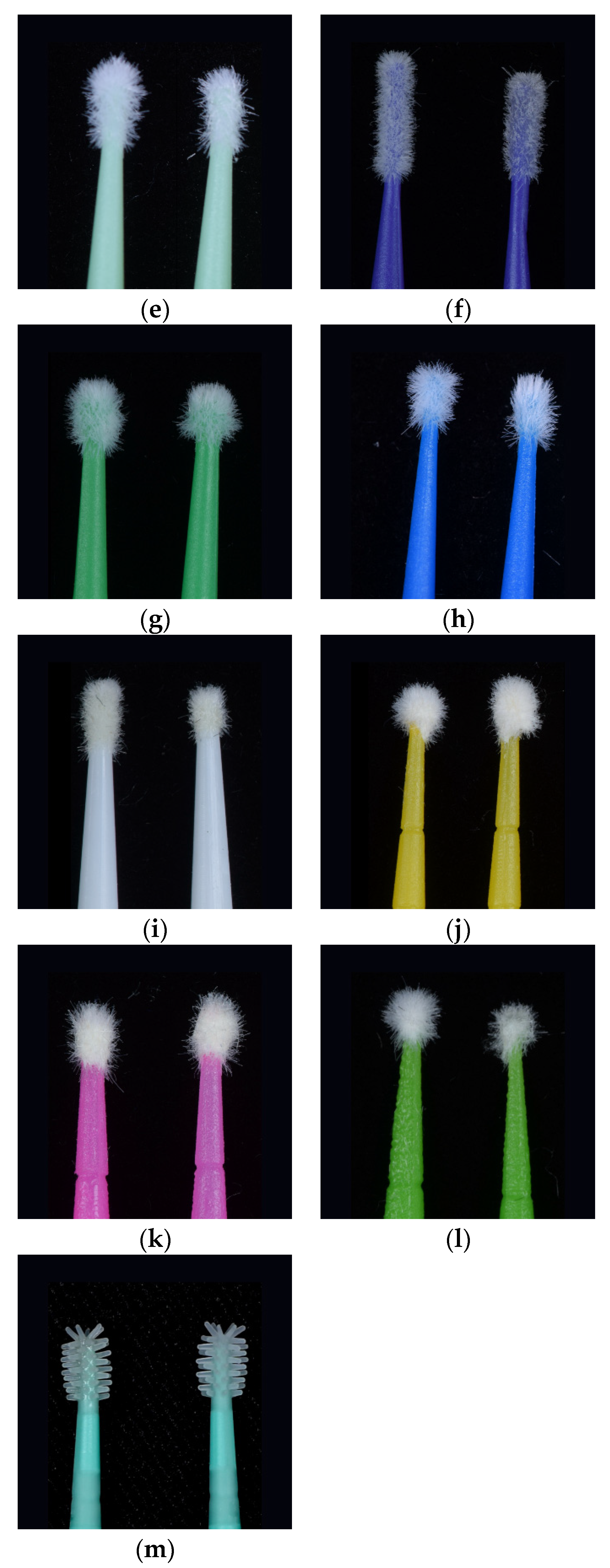 Preprints 113080 g001b