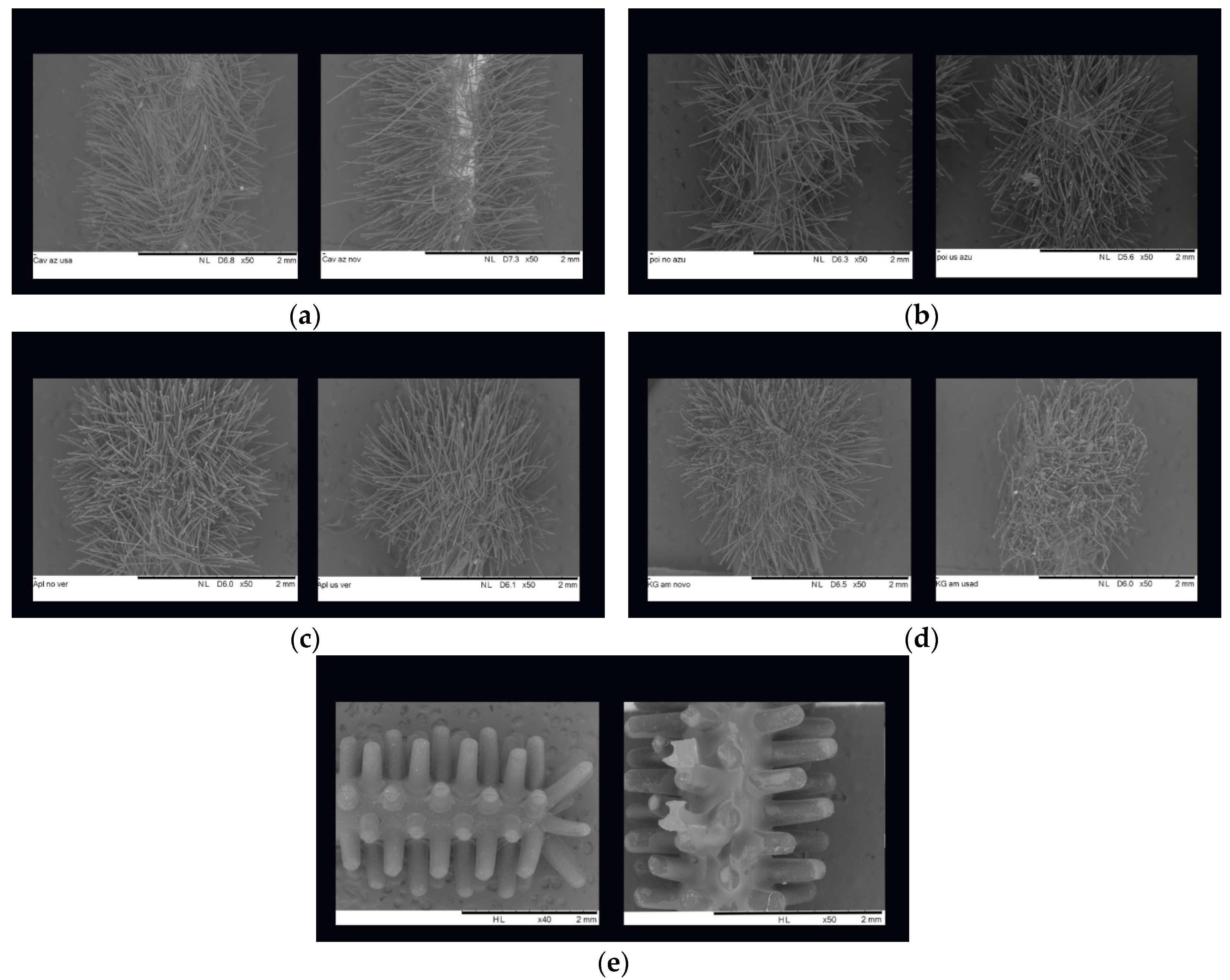 Preprints 113080 g002