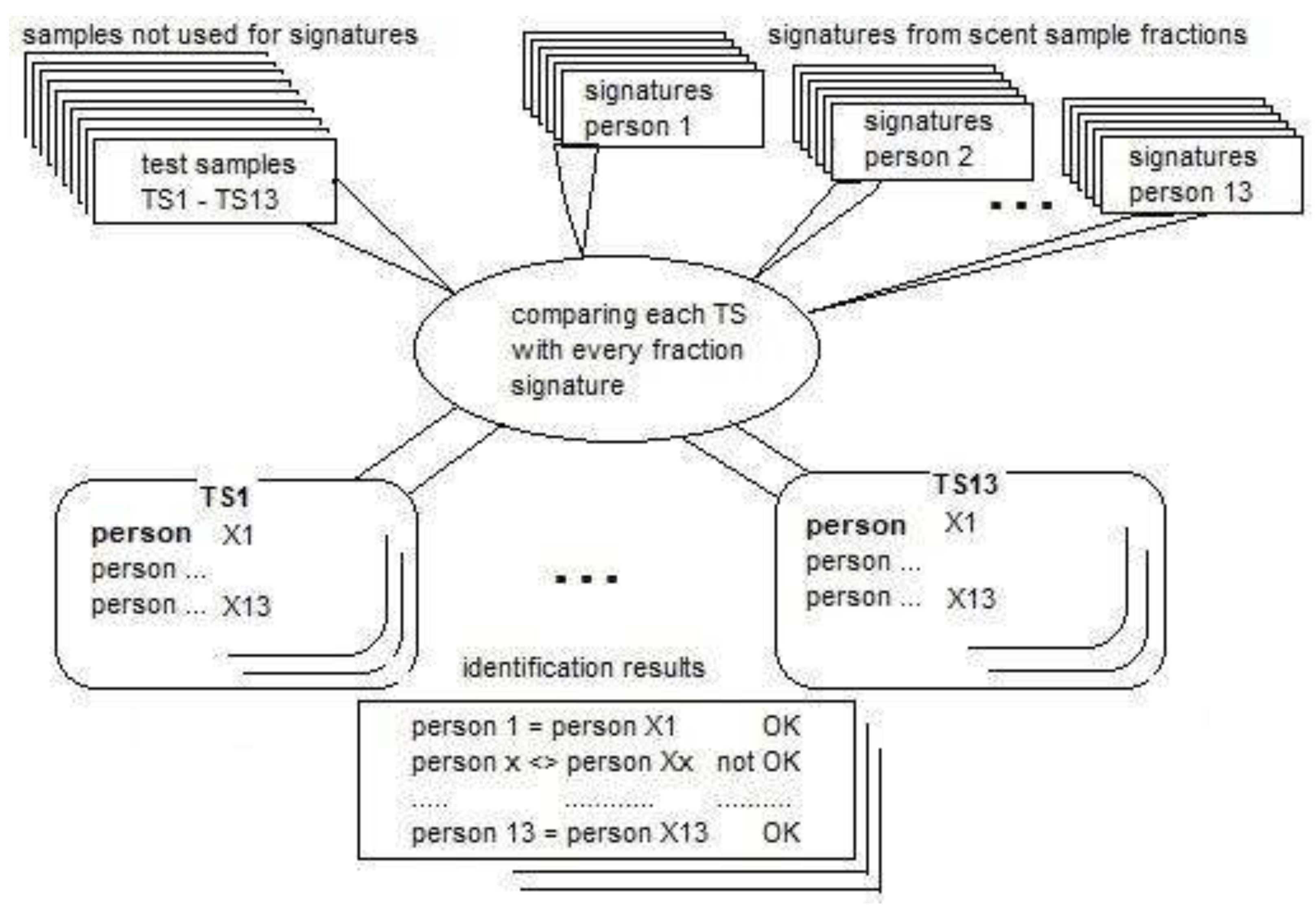 Preprints 106484 g004