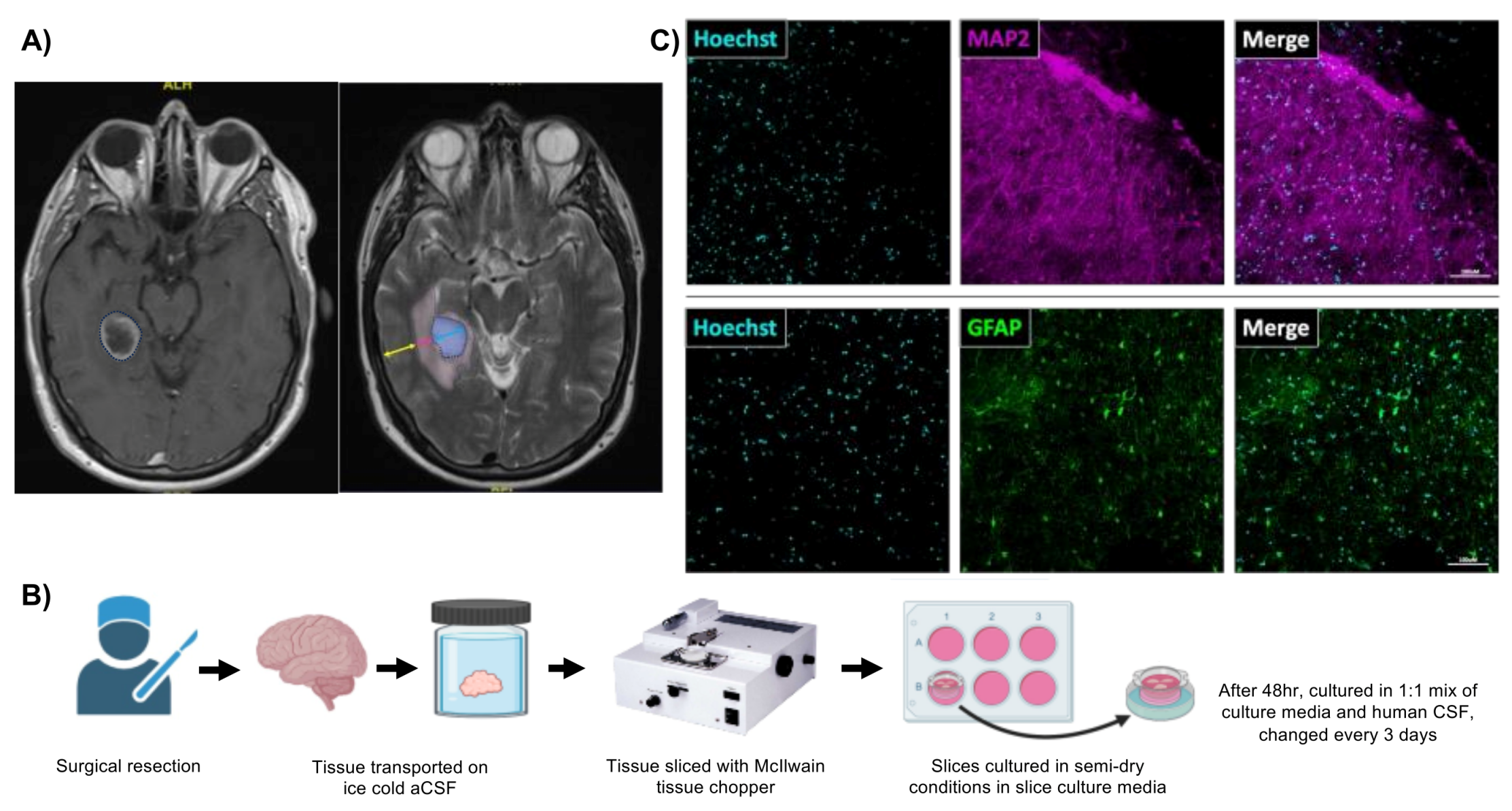 Preprints 104338 g001