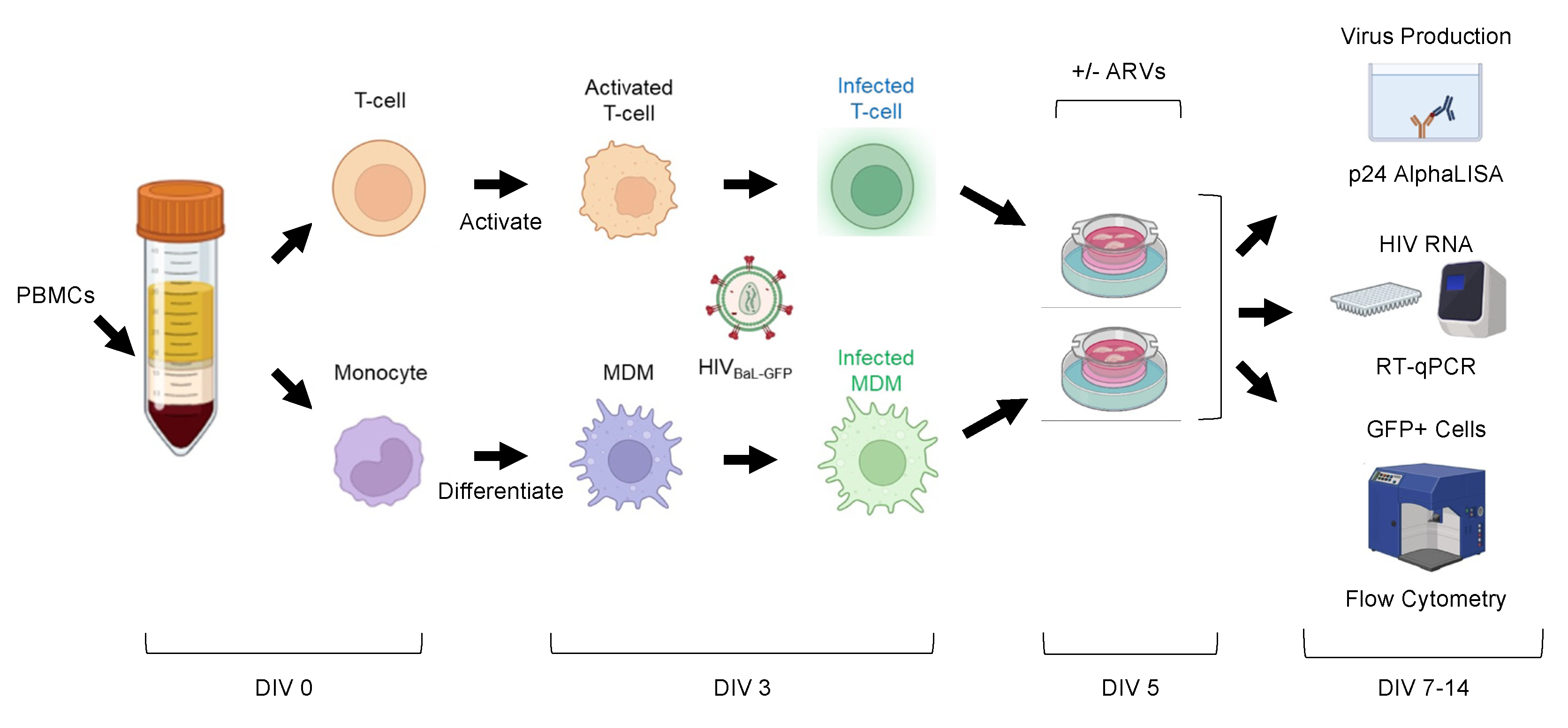 Preprints 104338 g005