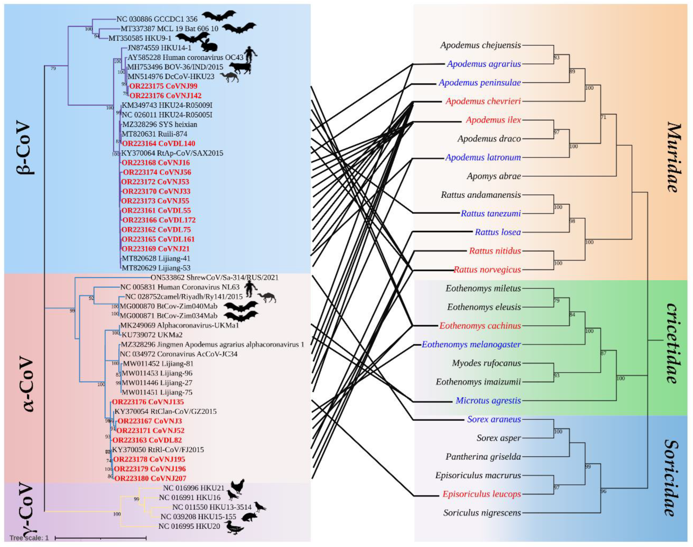 Preprints 82872 g002