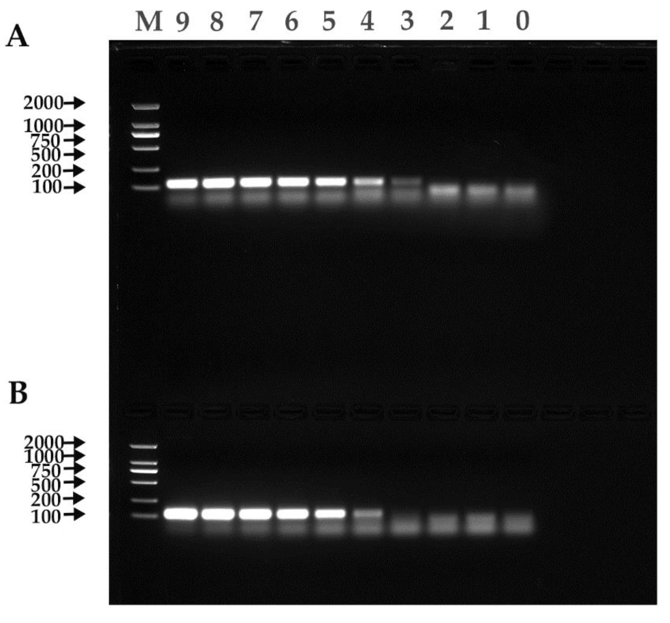 Preprints 82872 g005