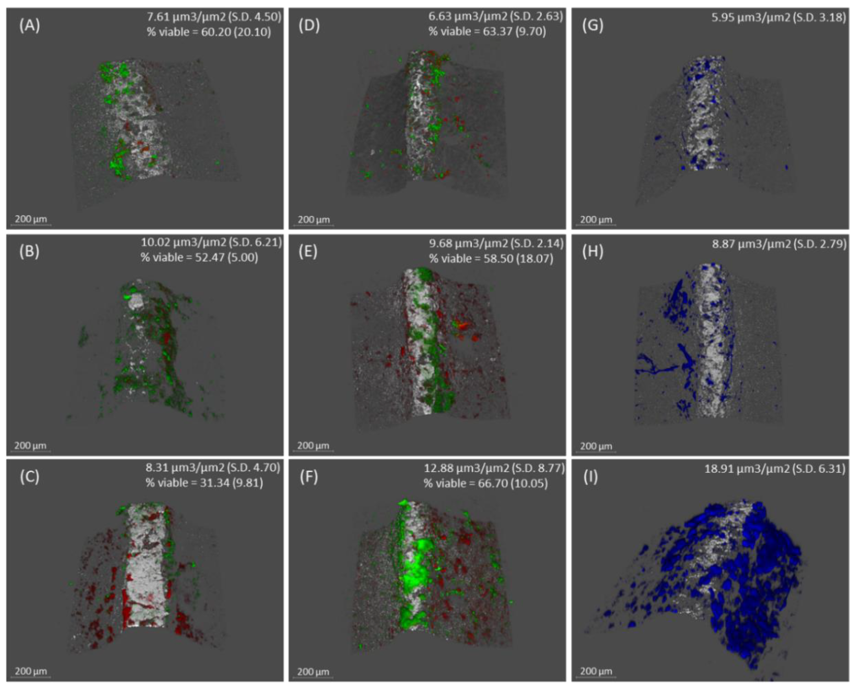 Preprints 99394 g002