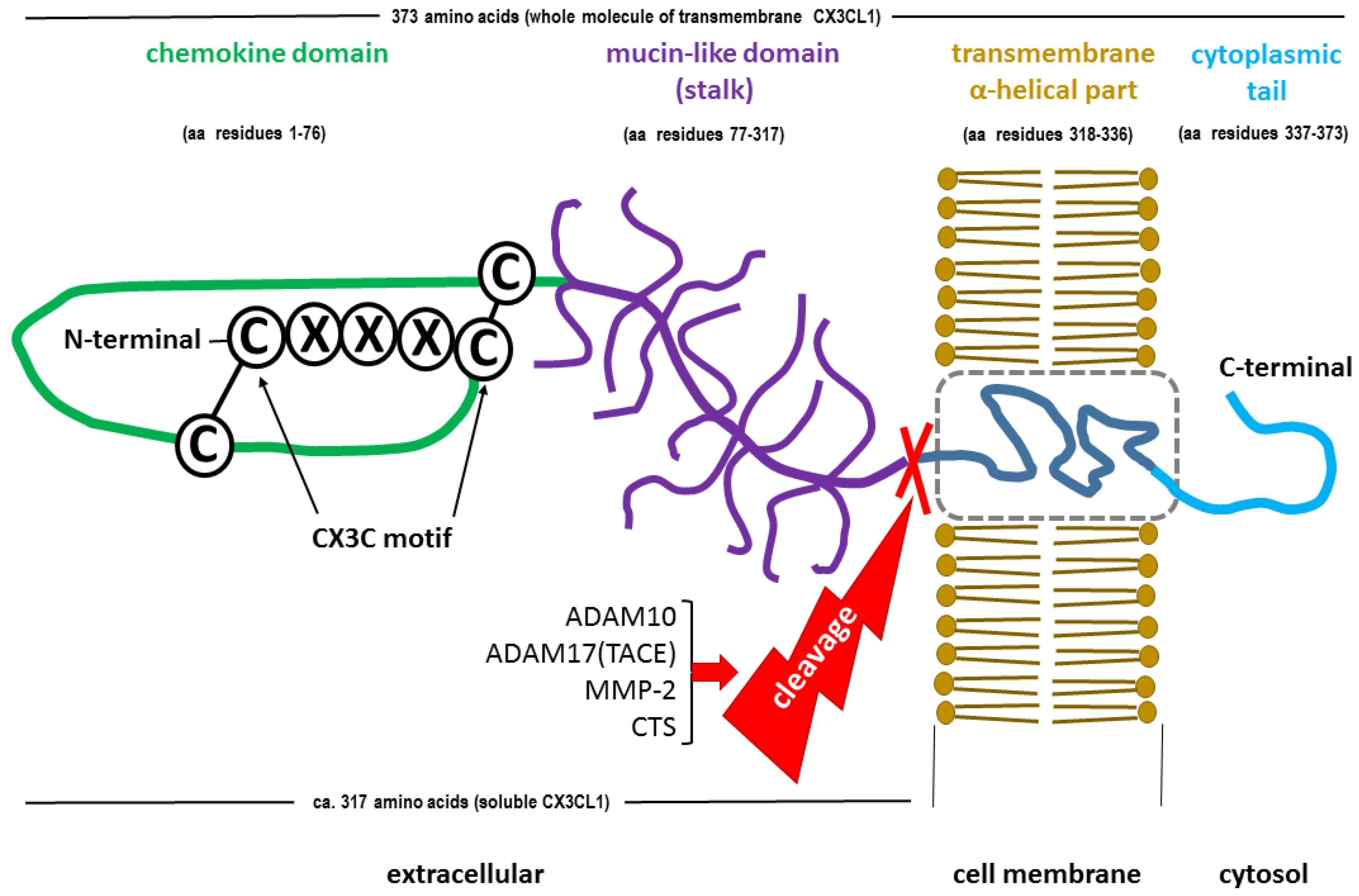 Preprints 102493 g001