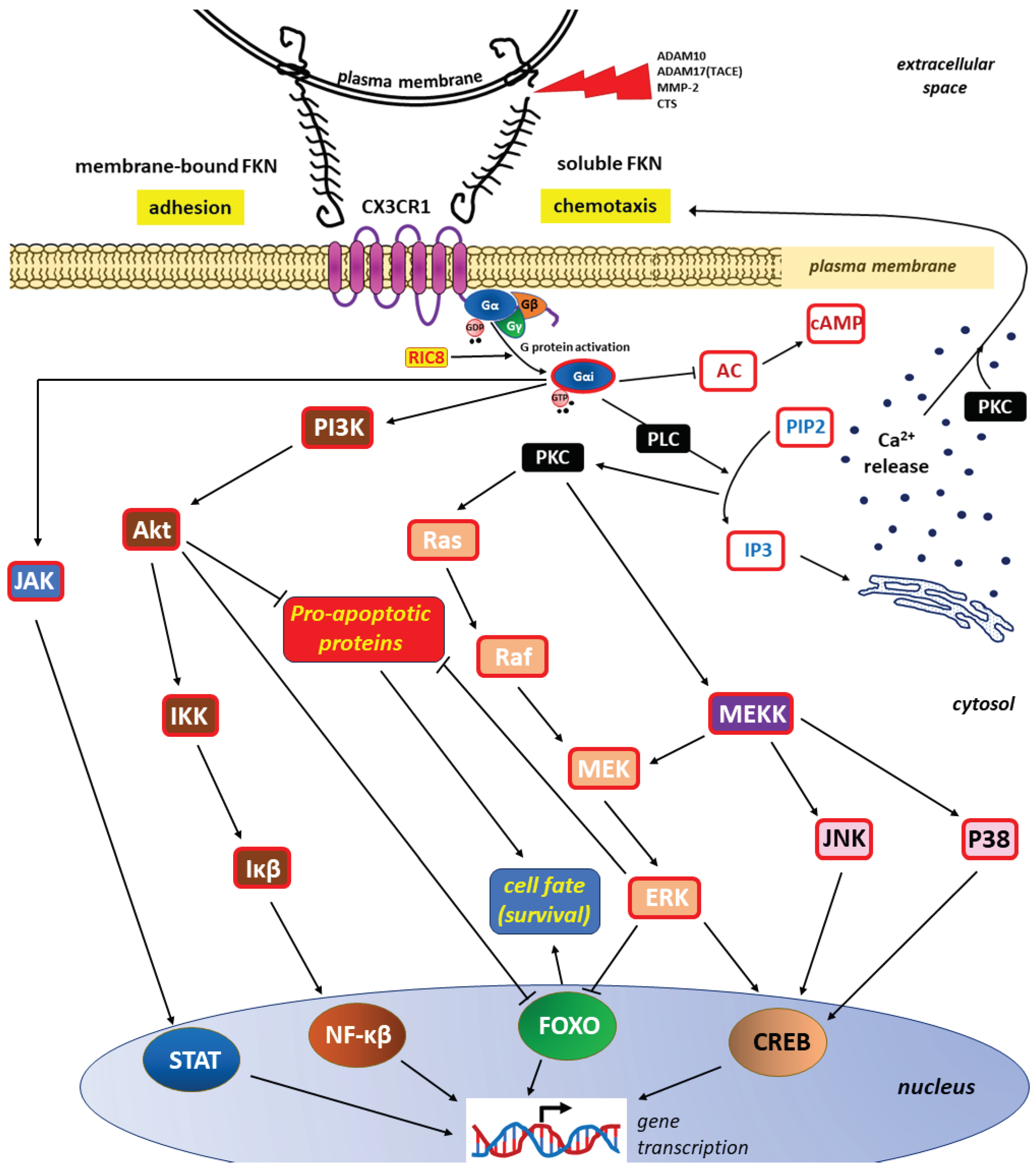 Preprints 102493 g003