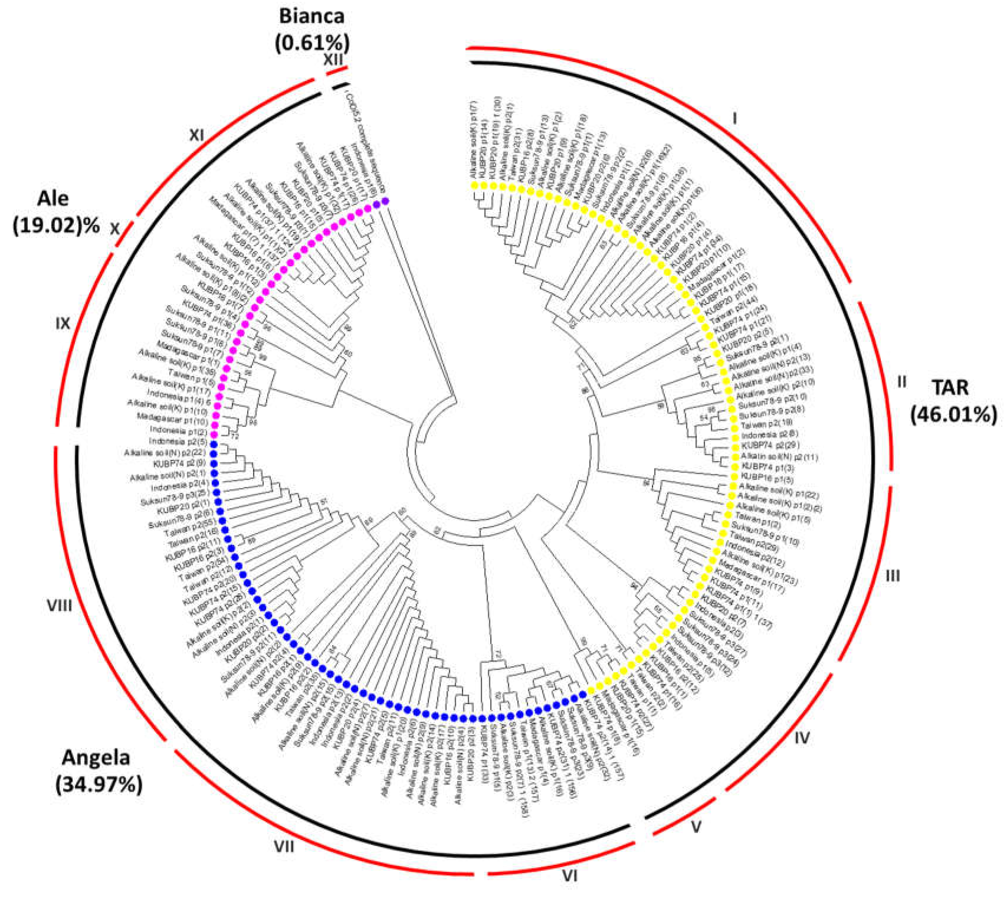 Preprints 75888 g001