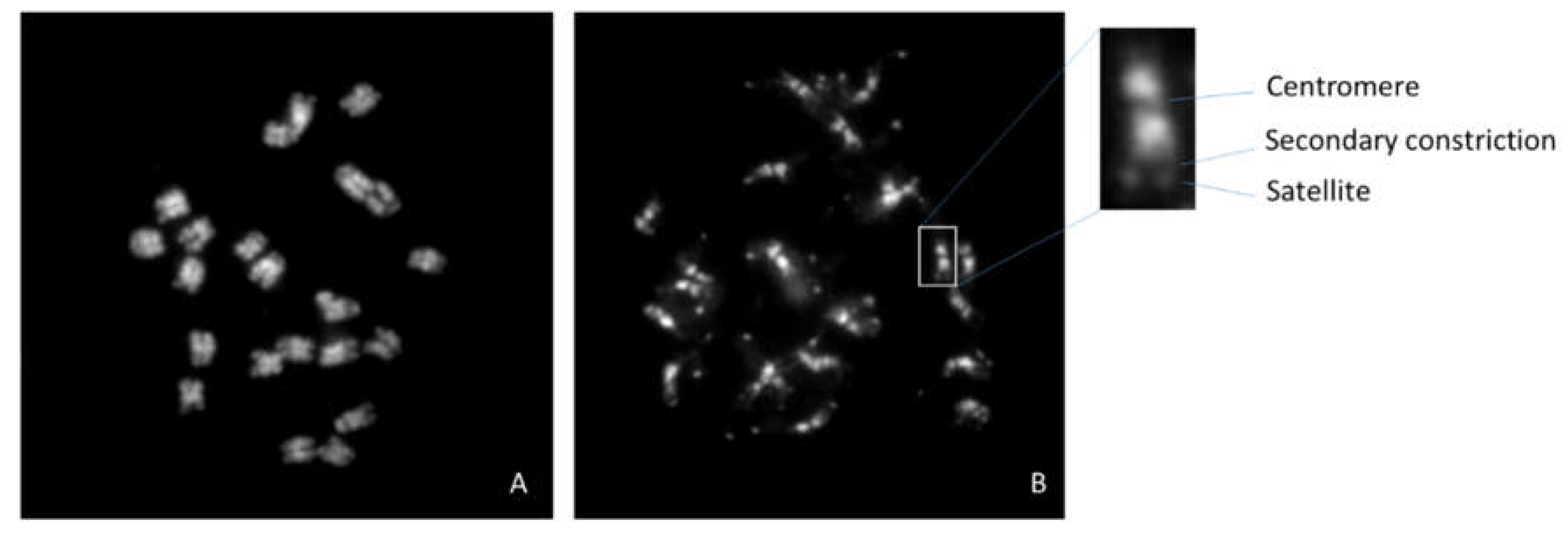 Preprints 75888 g003