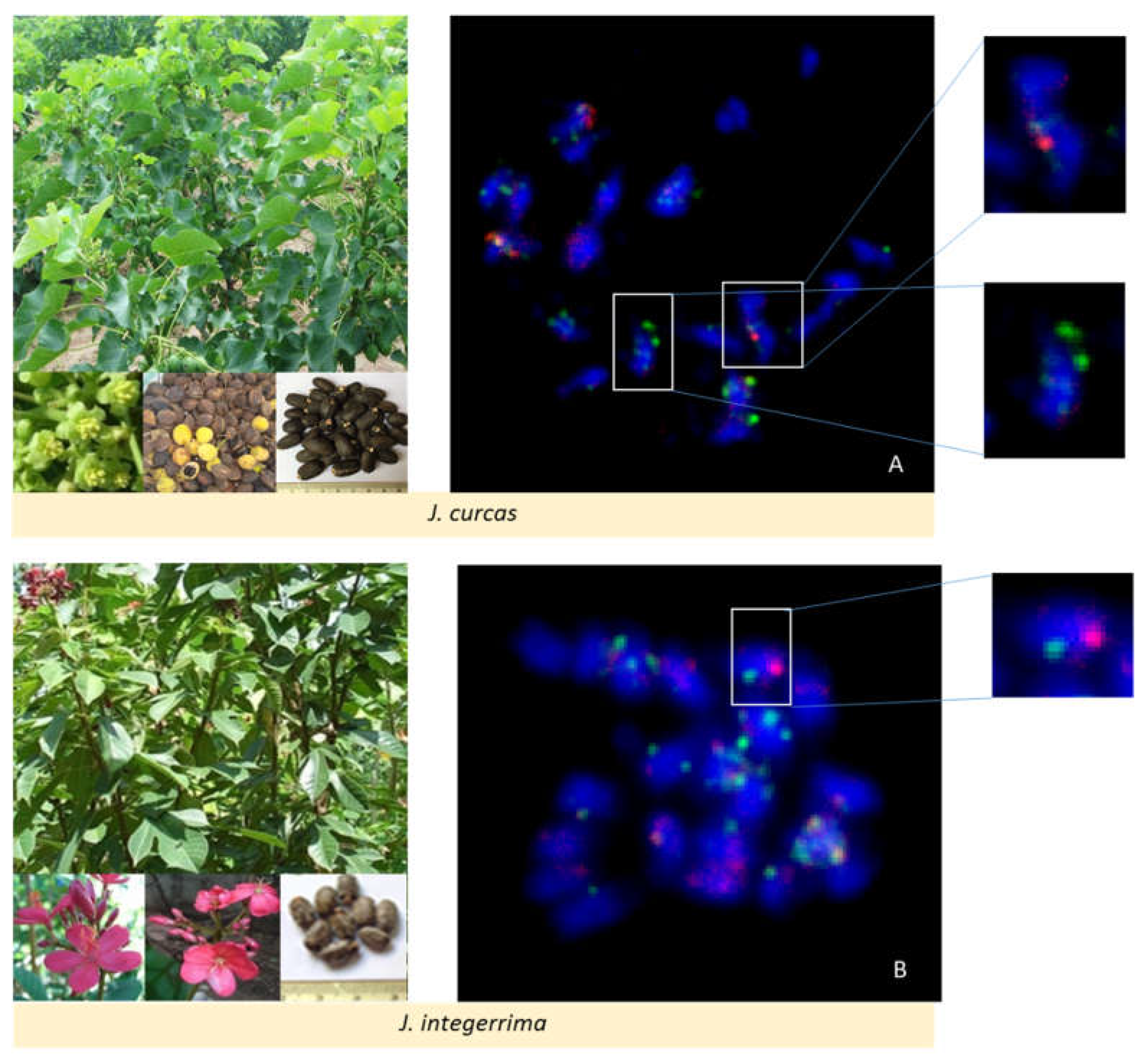 Preprints 75888 g004