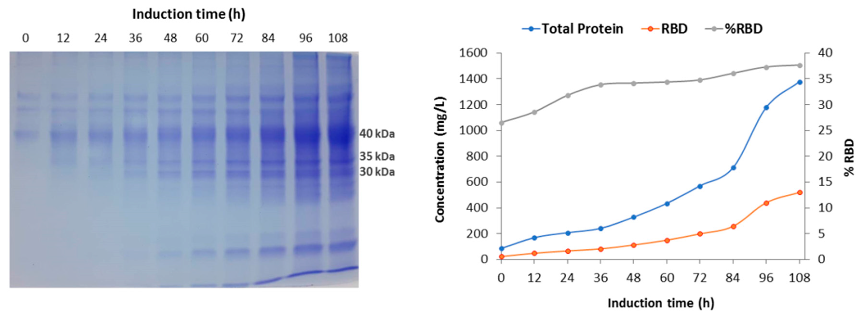 Preprints 71696 g003