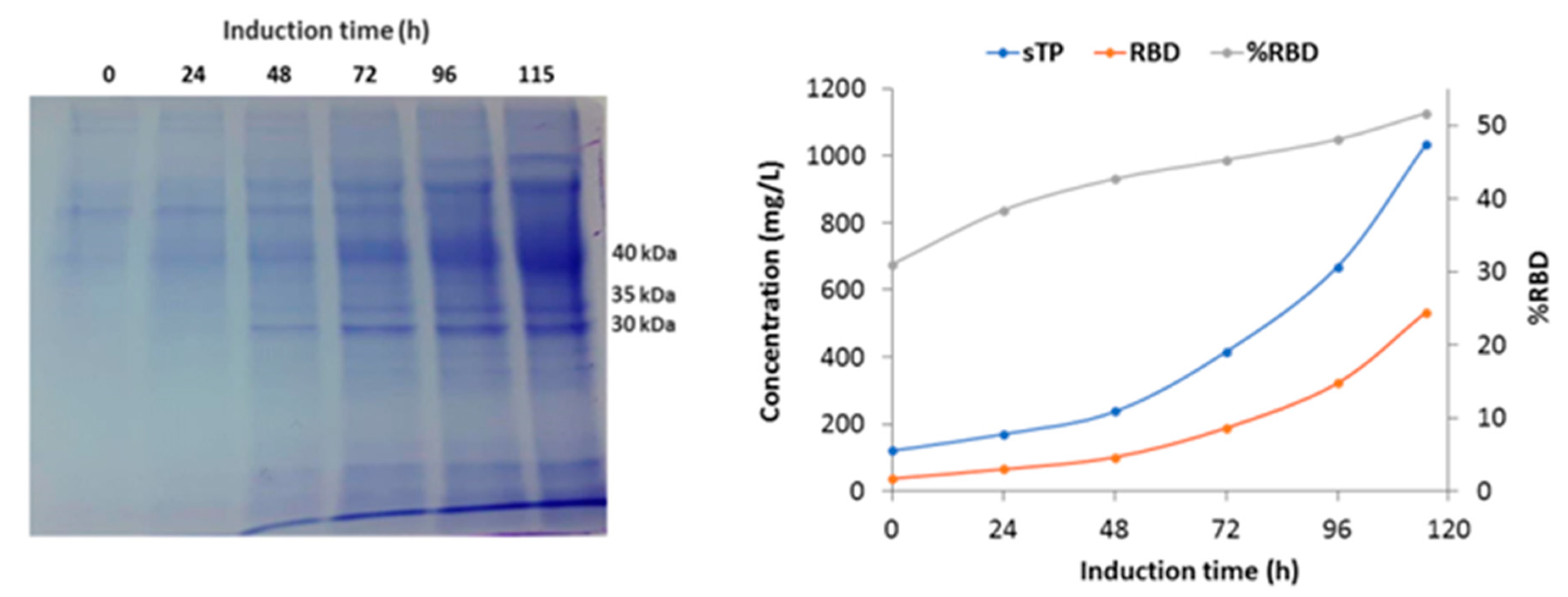 Preprints 71696 g005