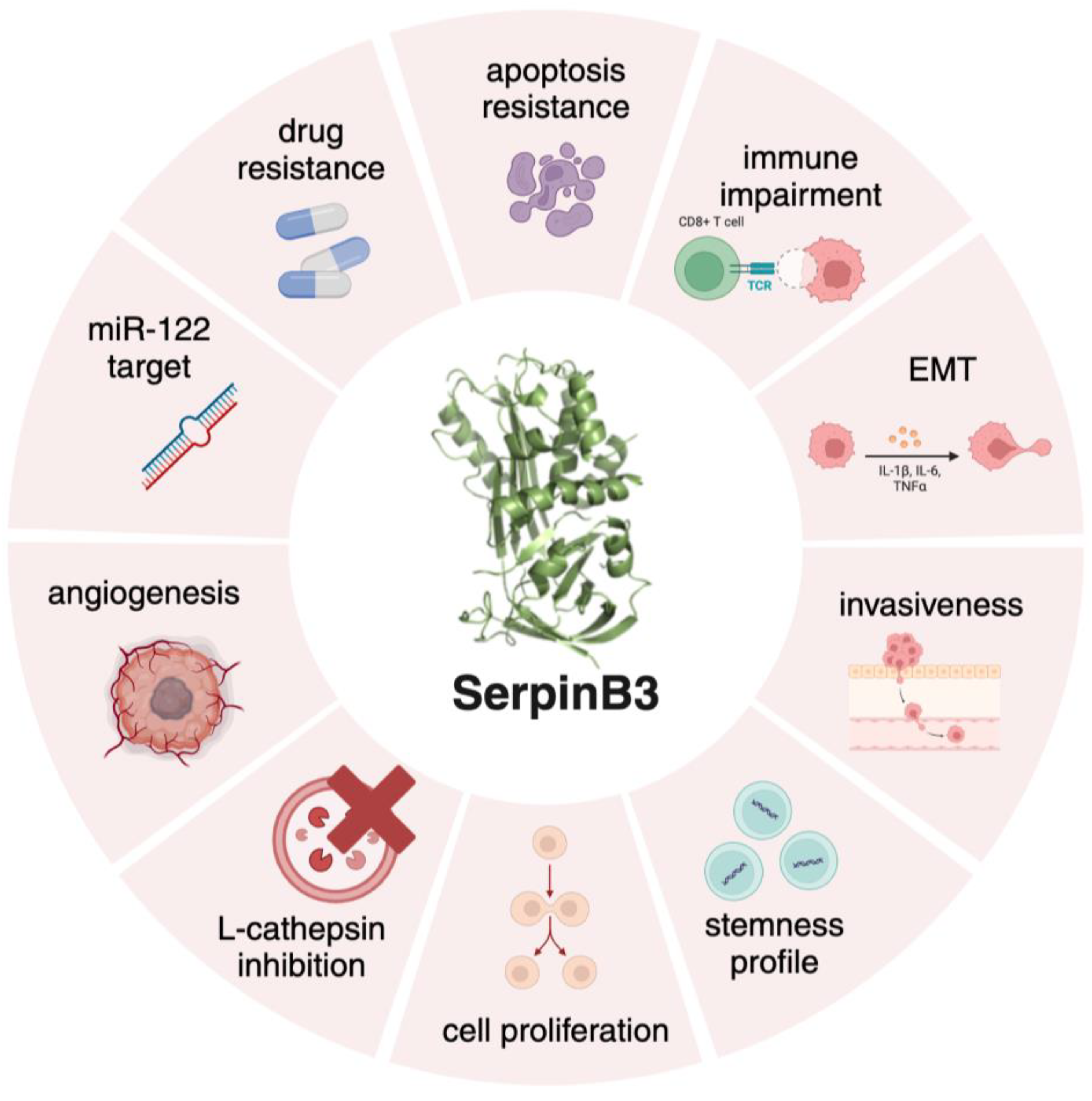 Preprints 109026 g001