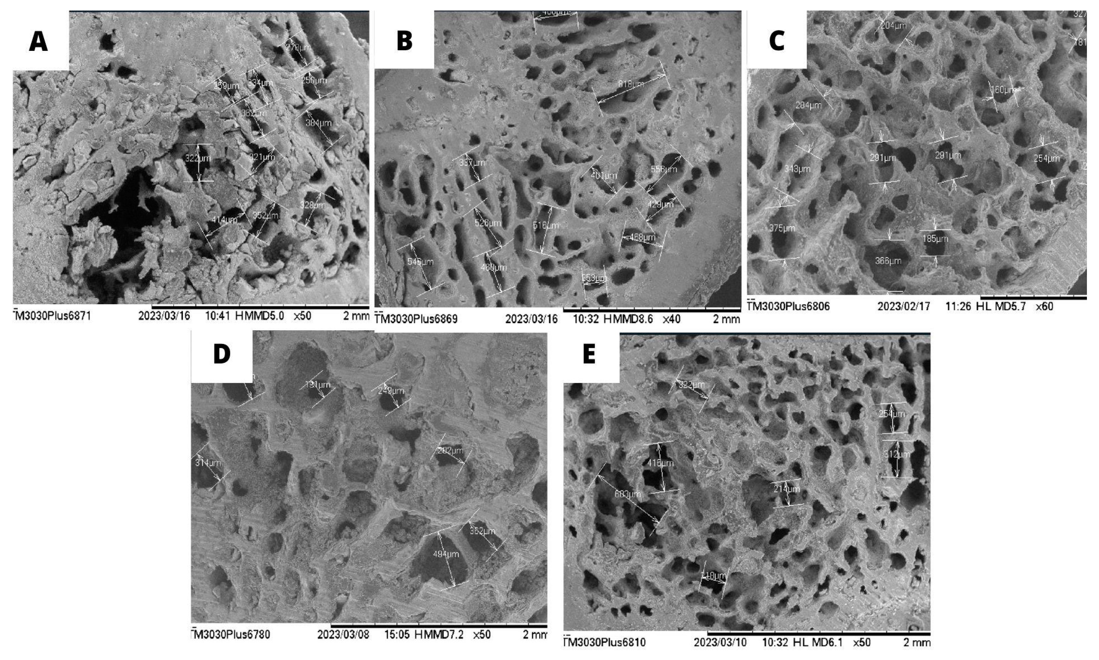 Preprints 91590 g005