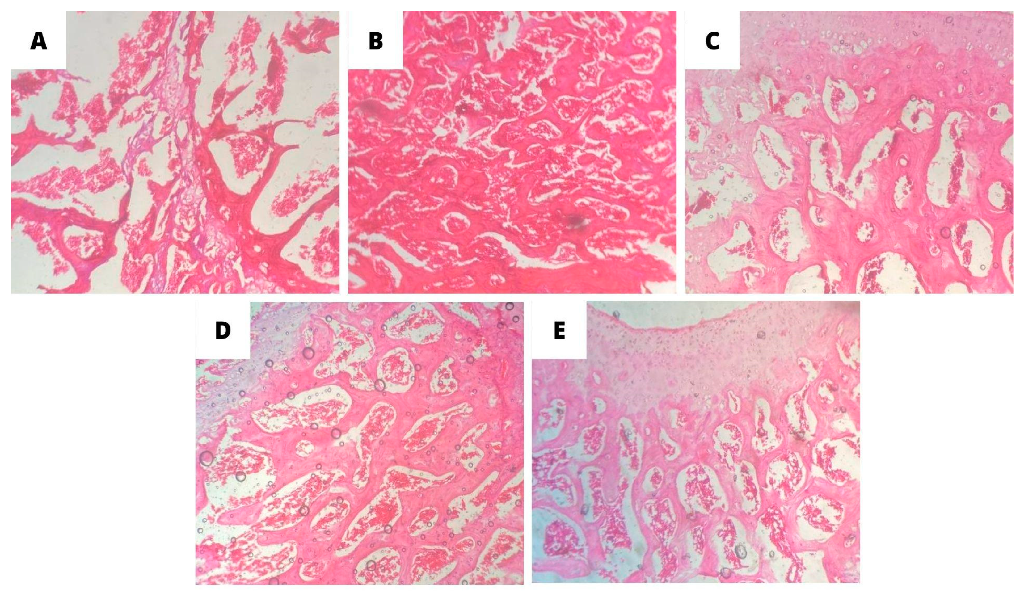 Preprints 91590 g006