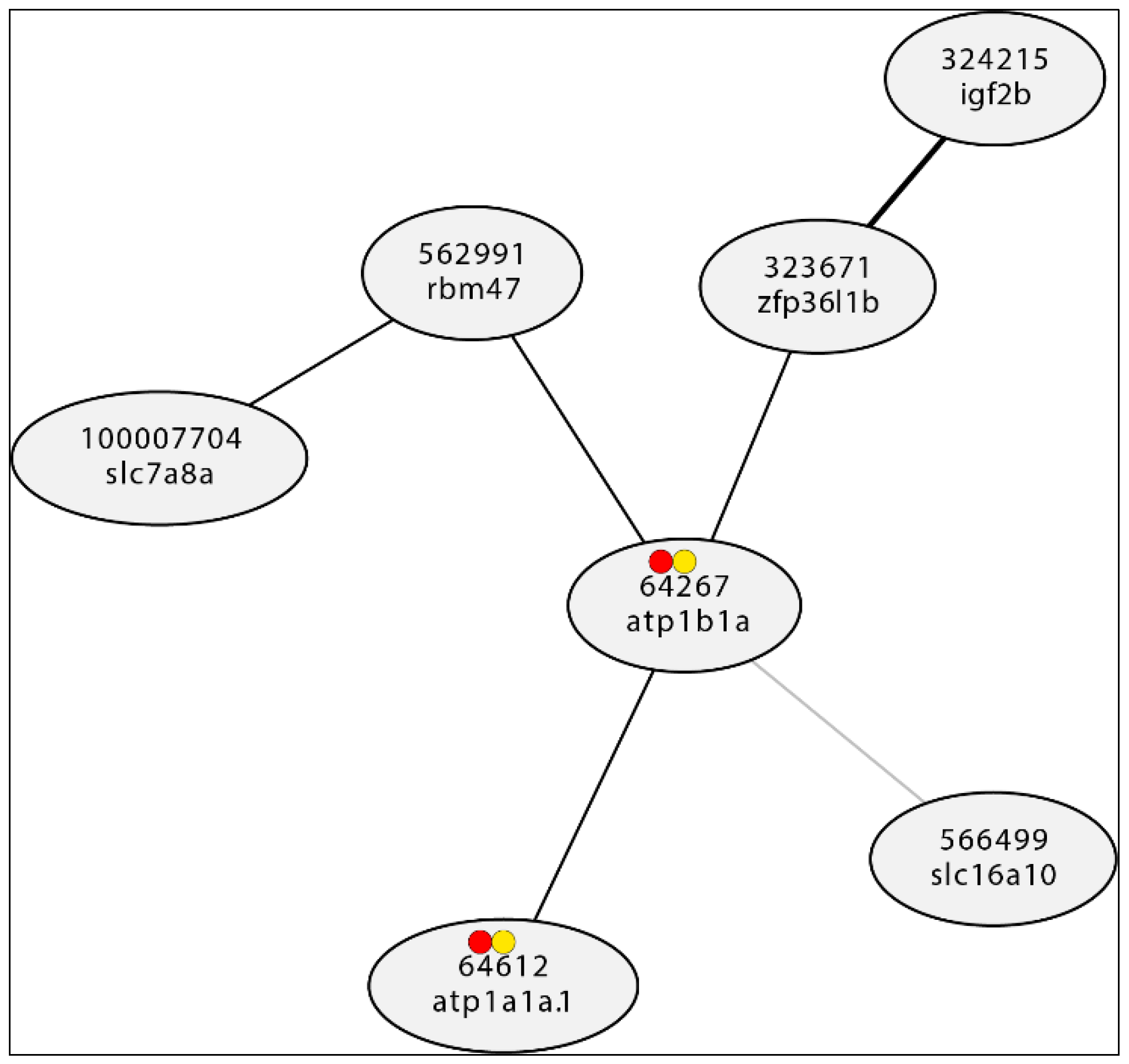 Preprints 92458 g002