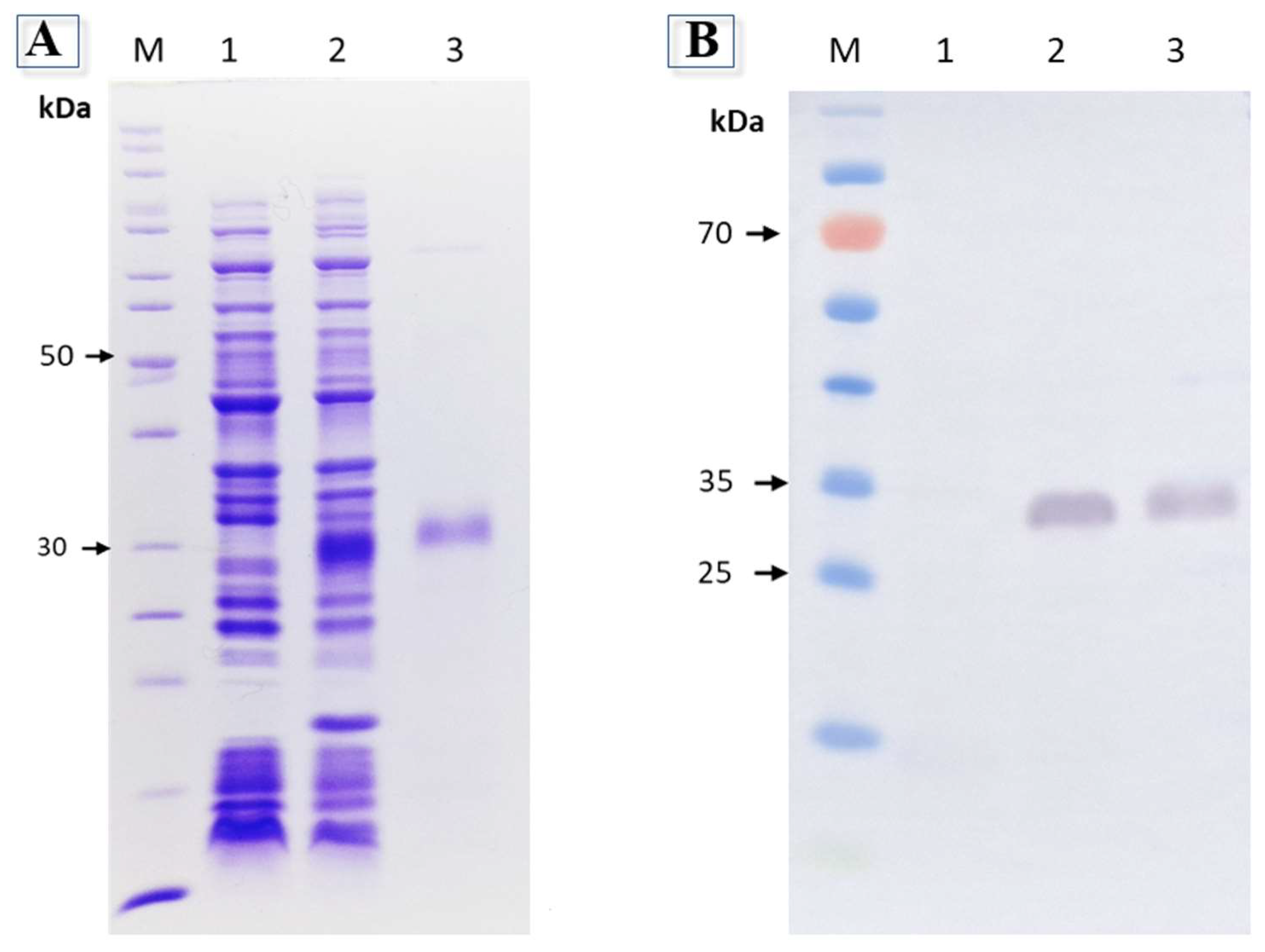 Preprints 120180 g001