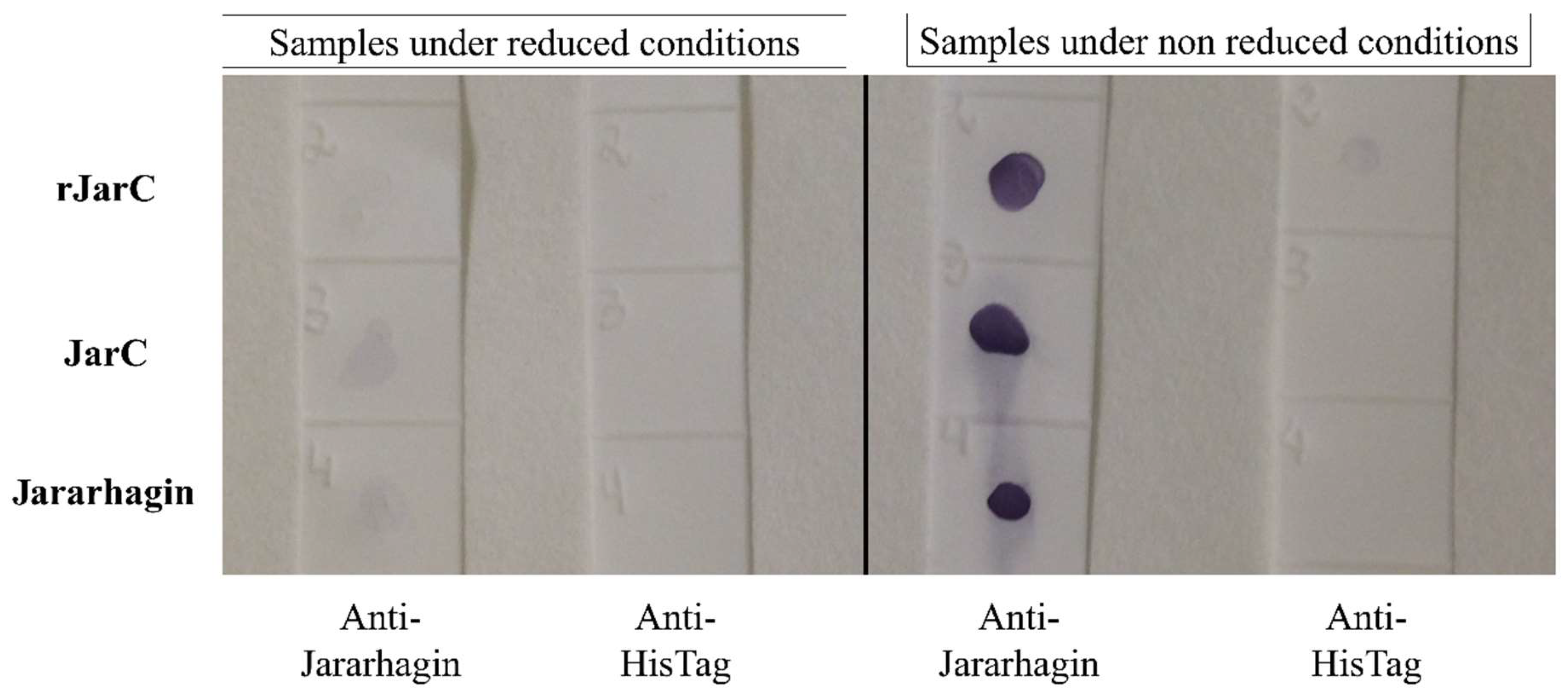 Preprints 120180 g003