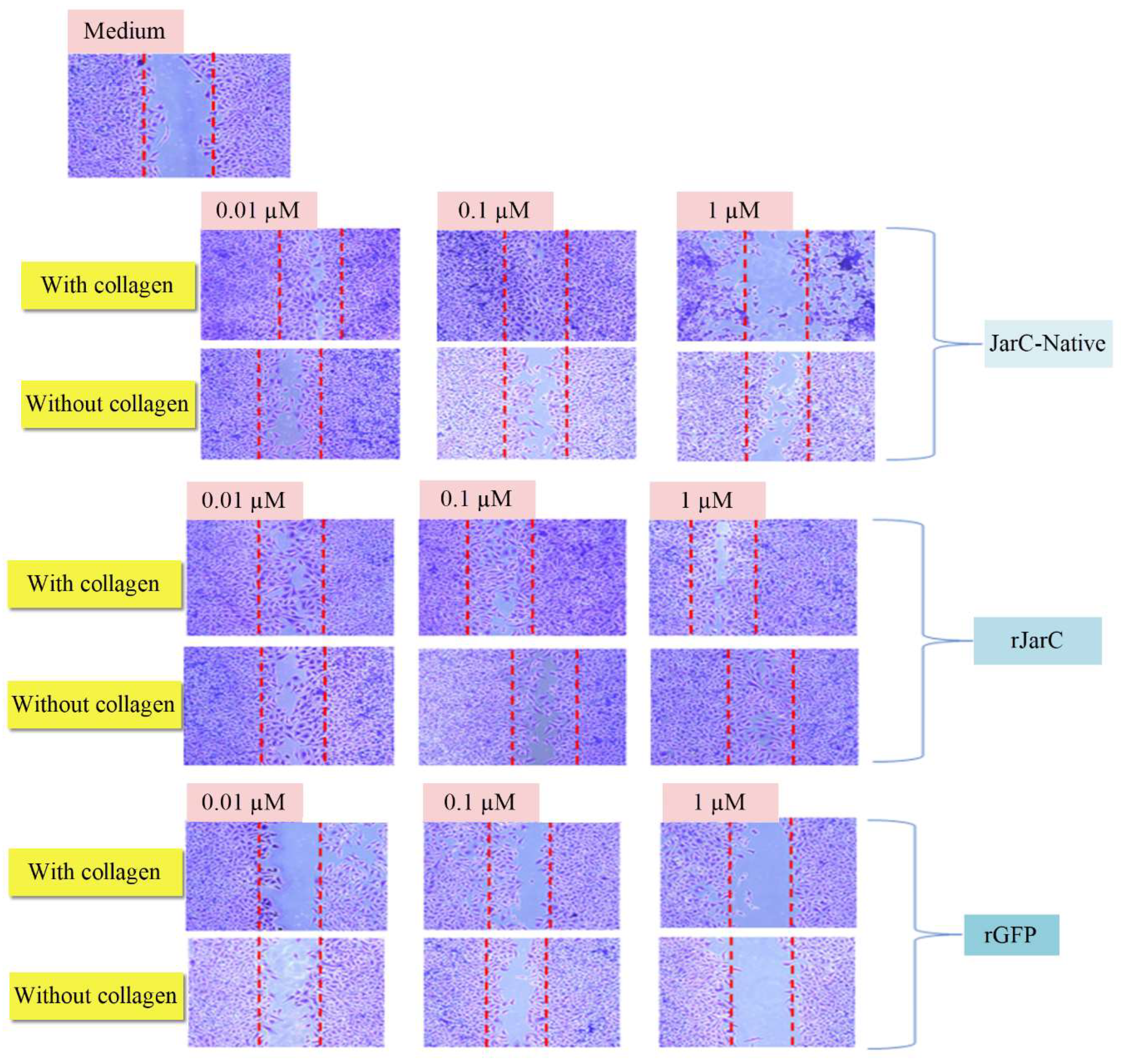 Preprints 120180 g005