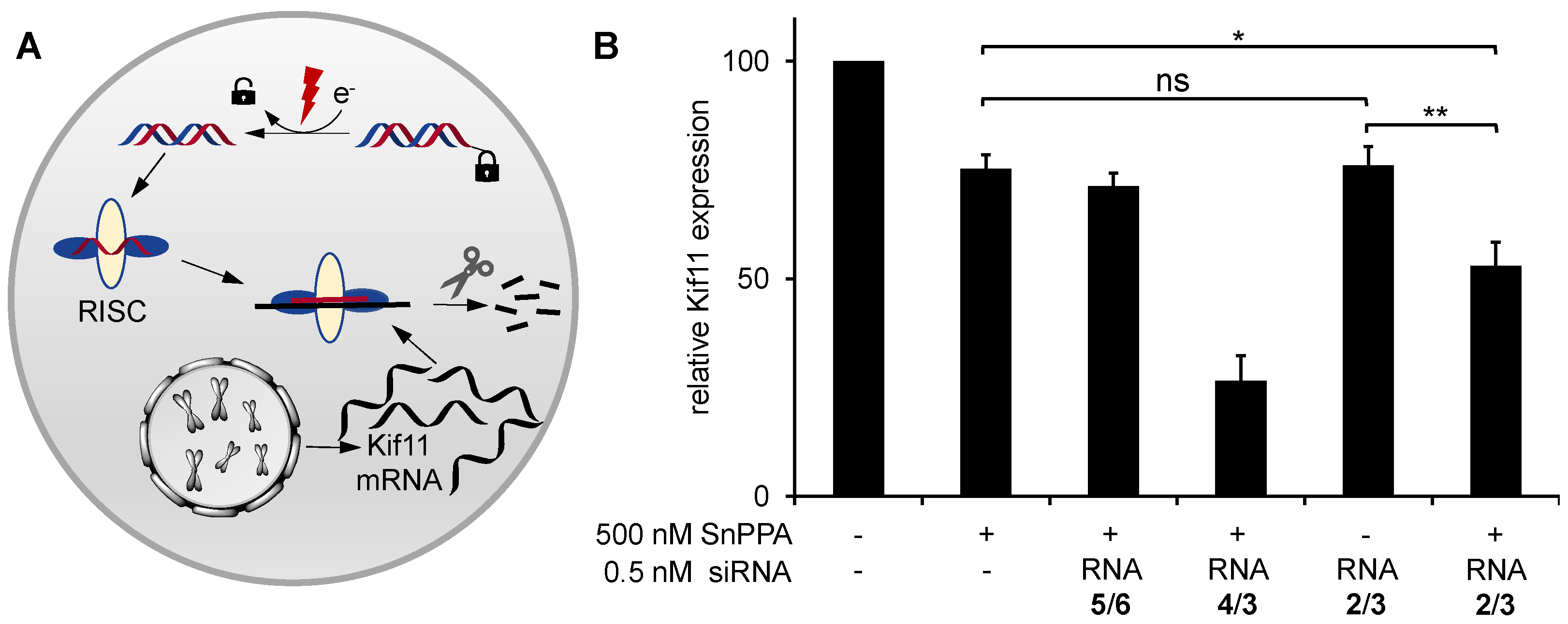 Preprints 72548 g007