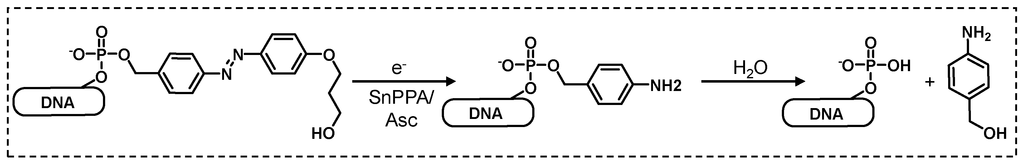 Preprints 72548 sch002