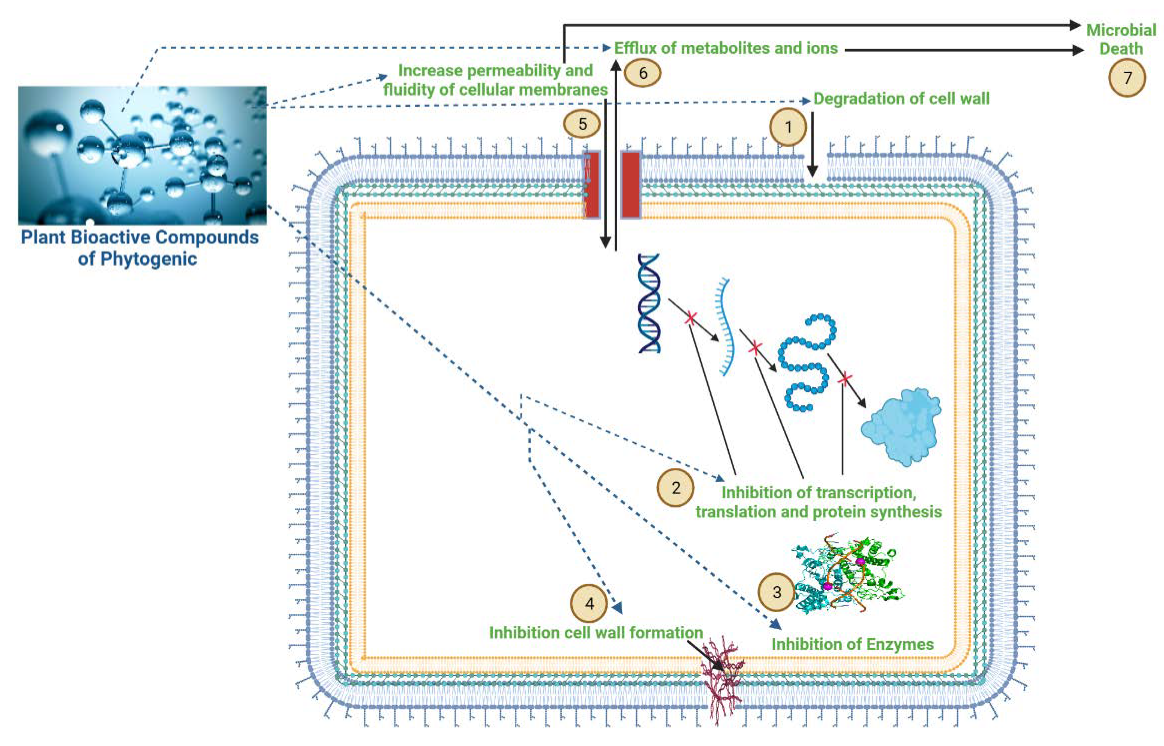 Preprints 108478 g003