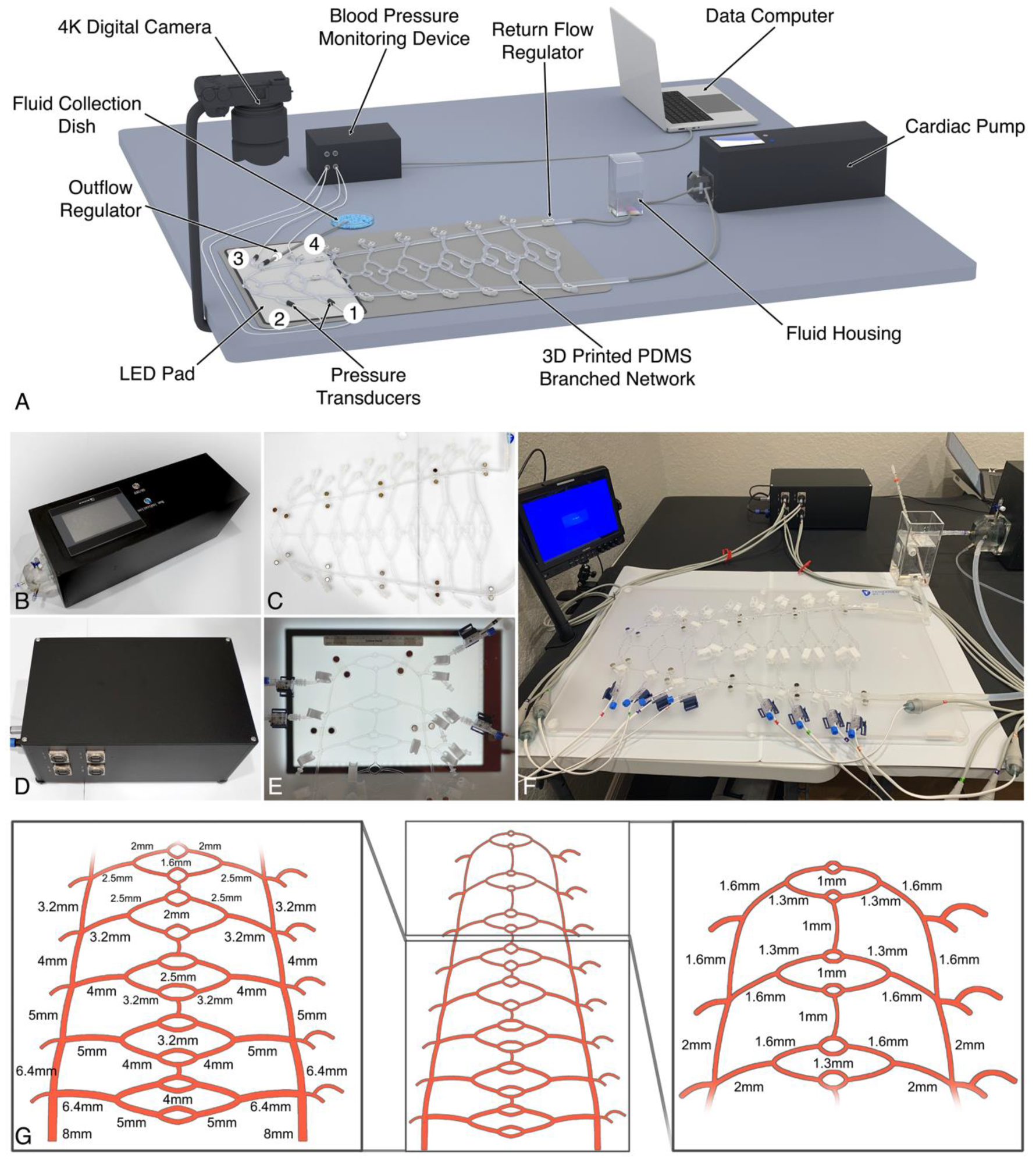 Preprints 113099 g014