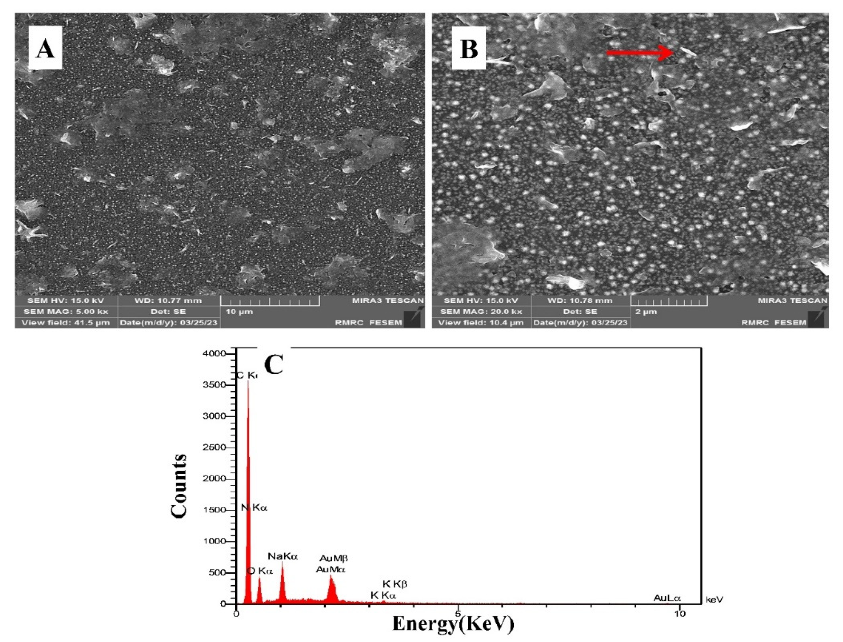 Preprints 72088 g001