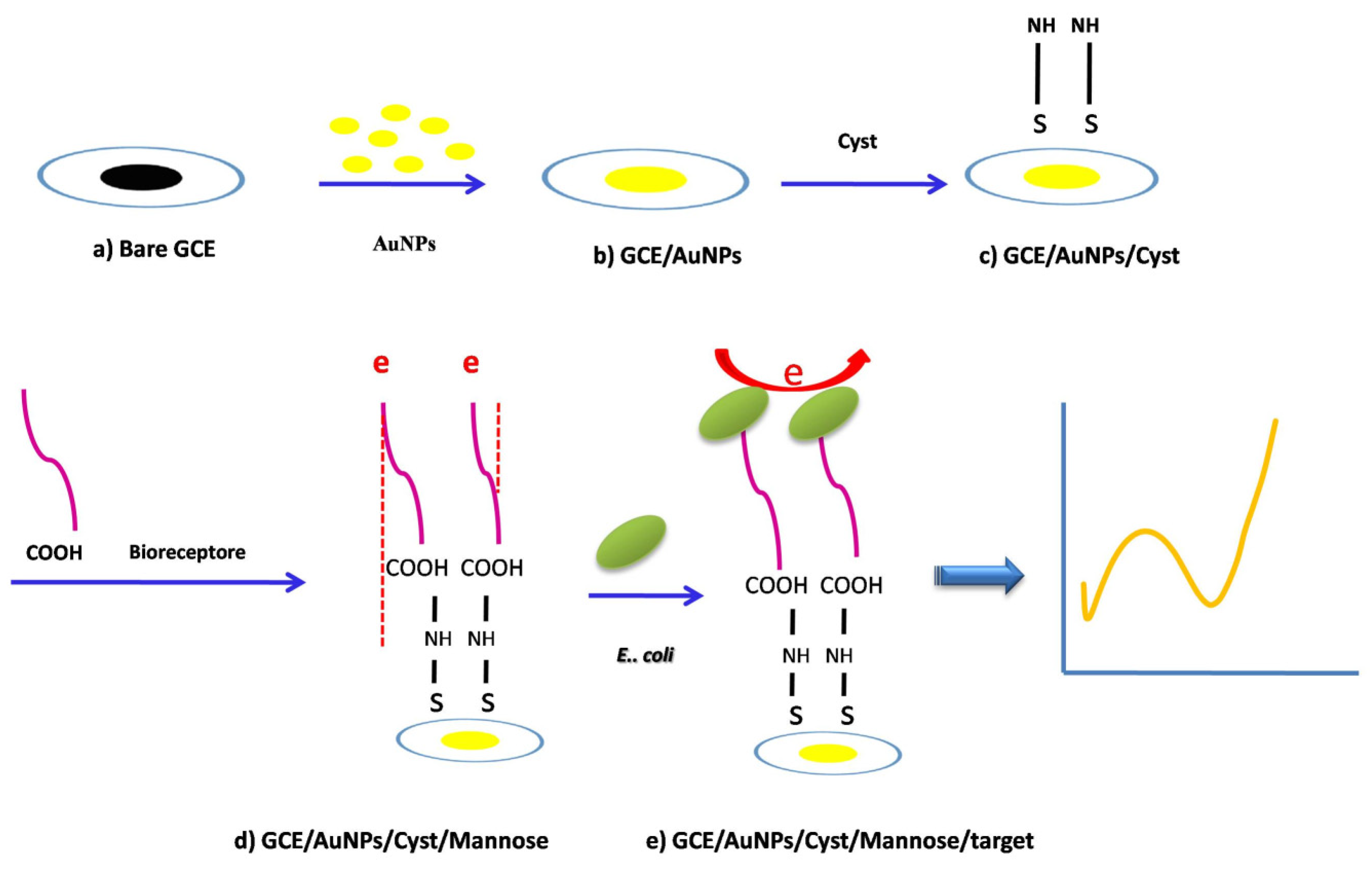 Preprints 72088 sch001