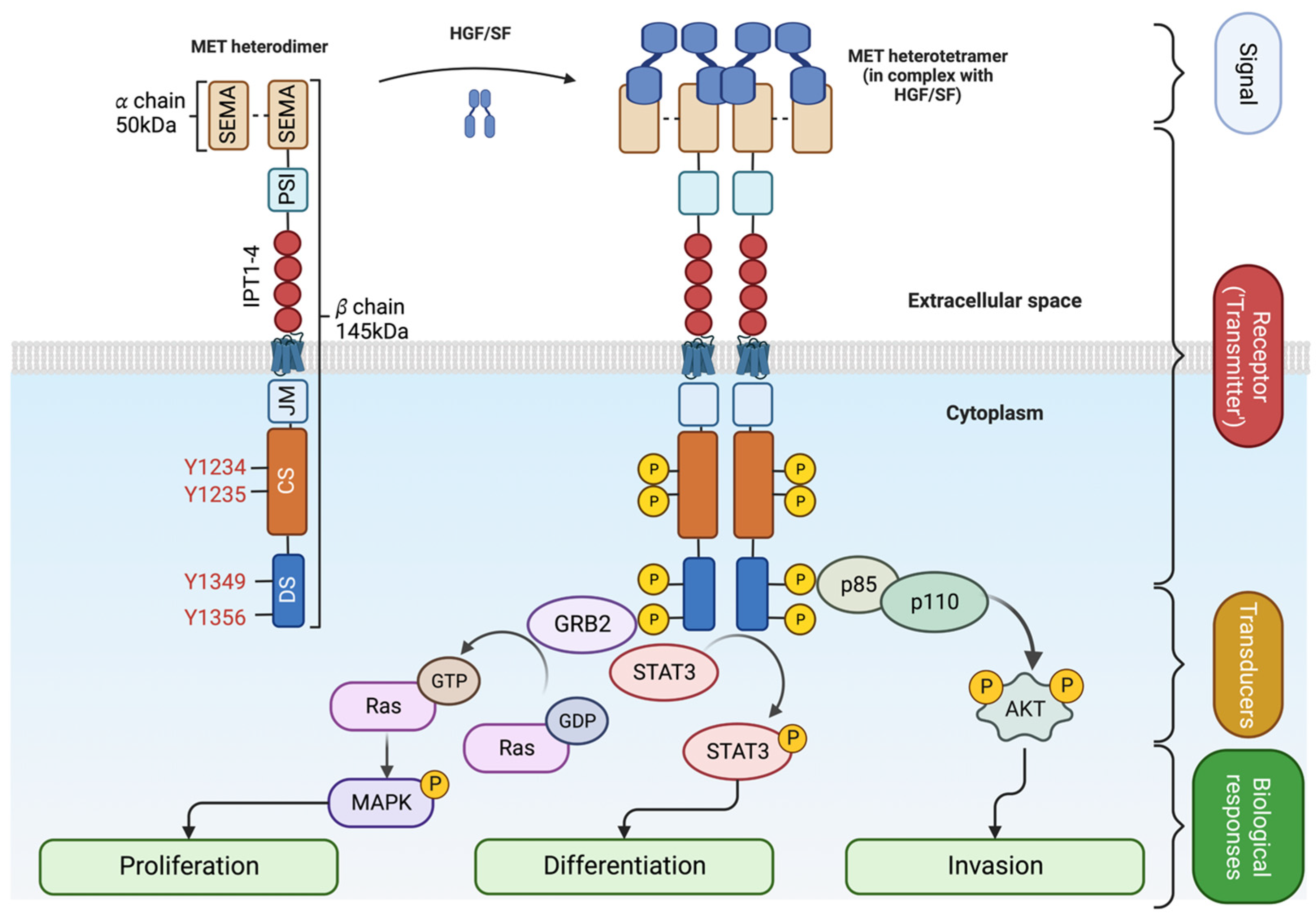 Preprints 83841 g002