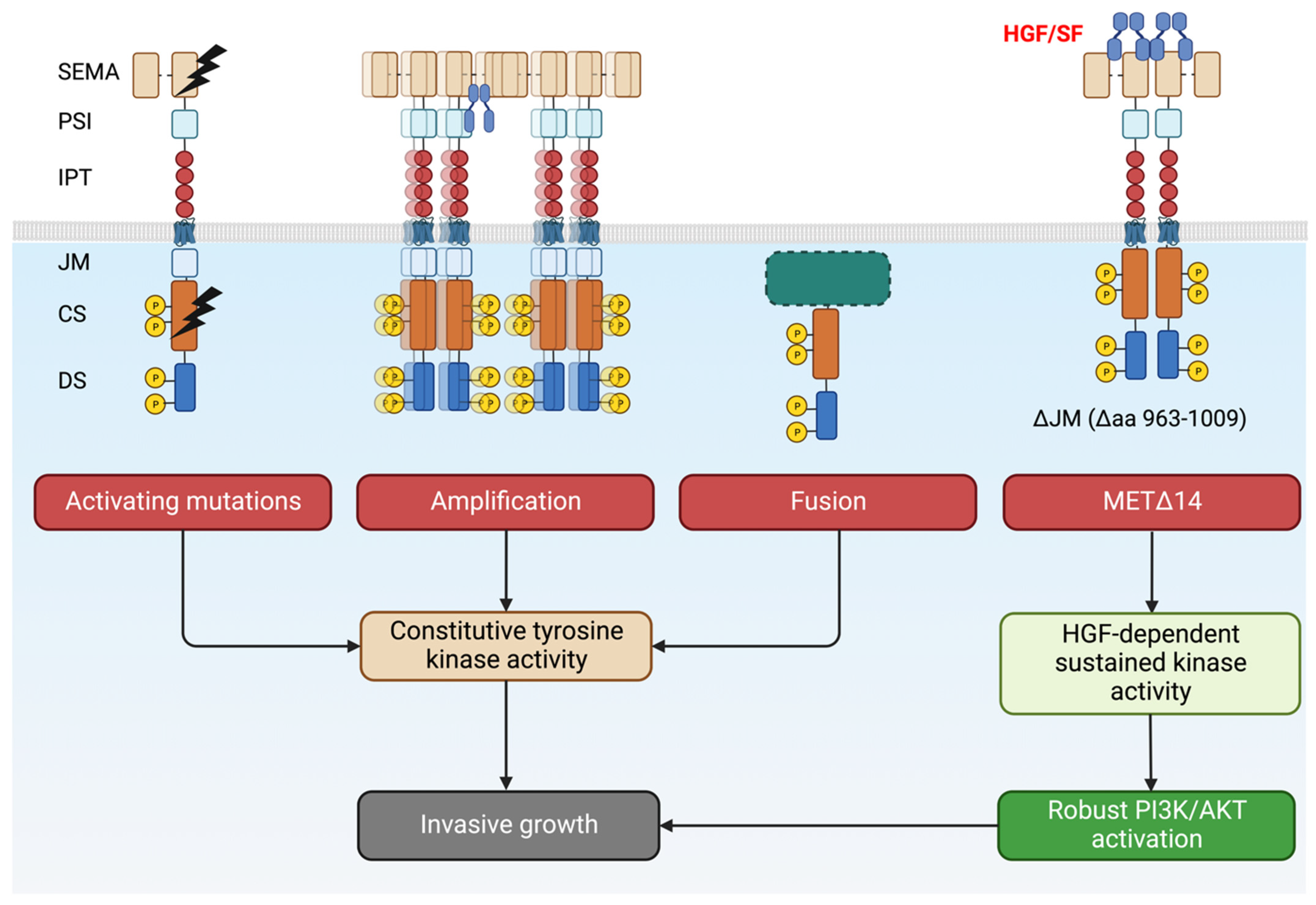 Preprints 83841 g004