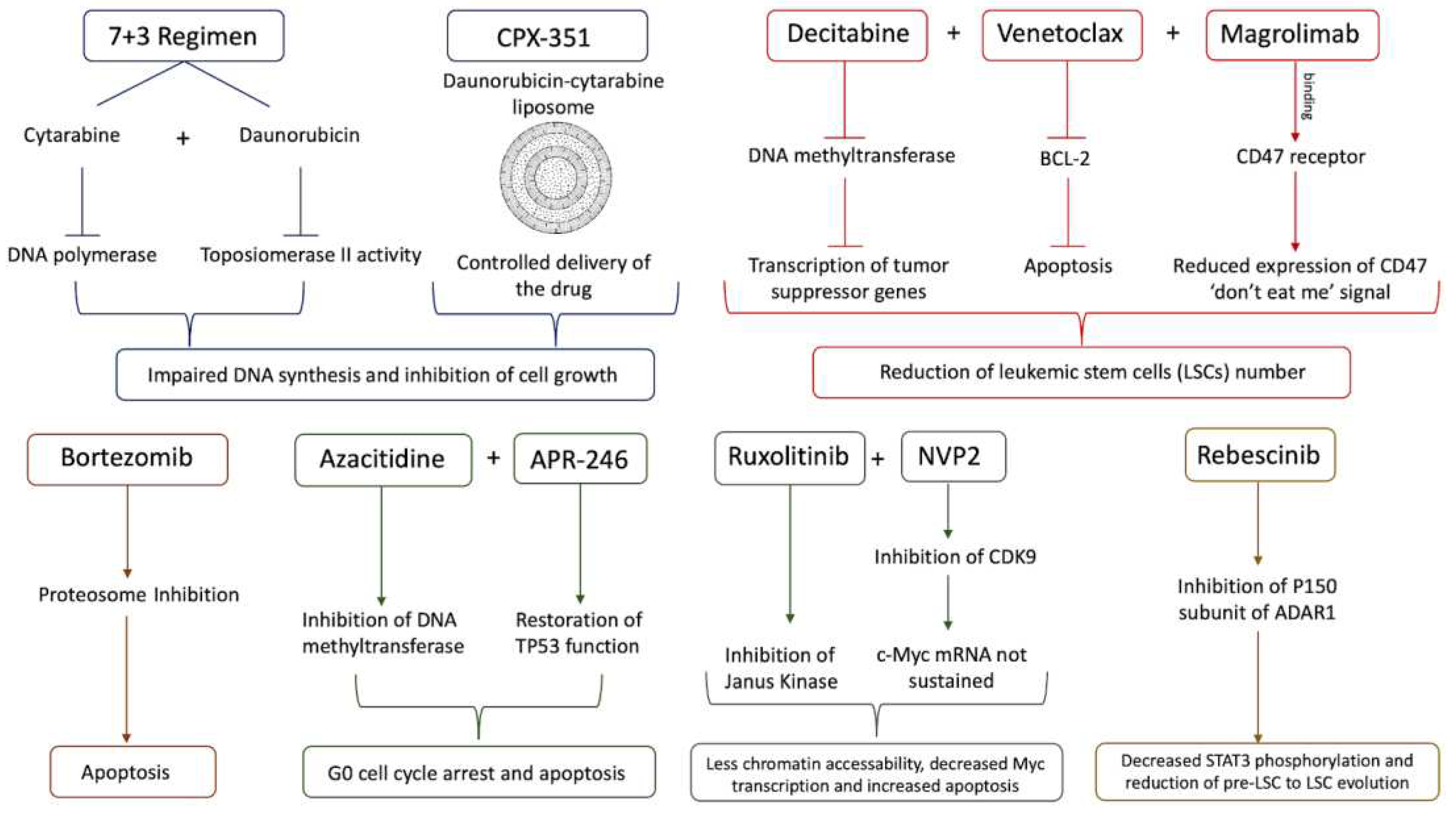 Preprints 97375 g003